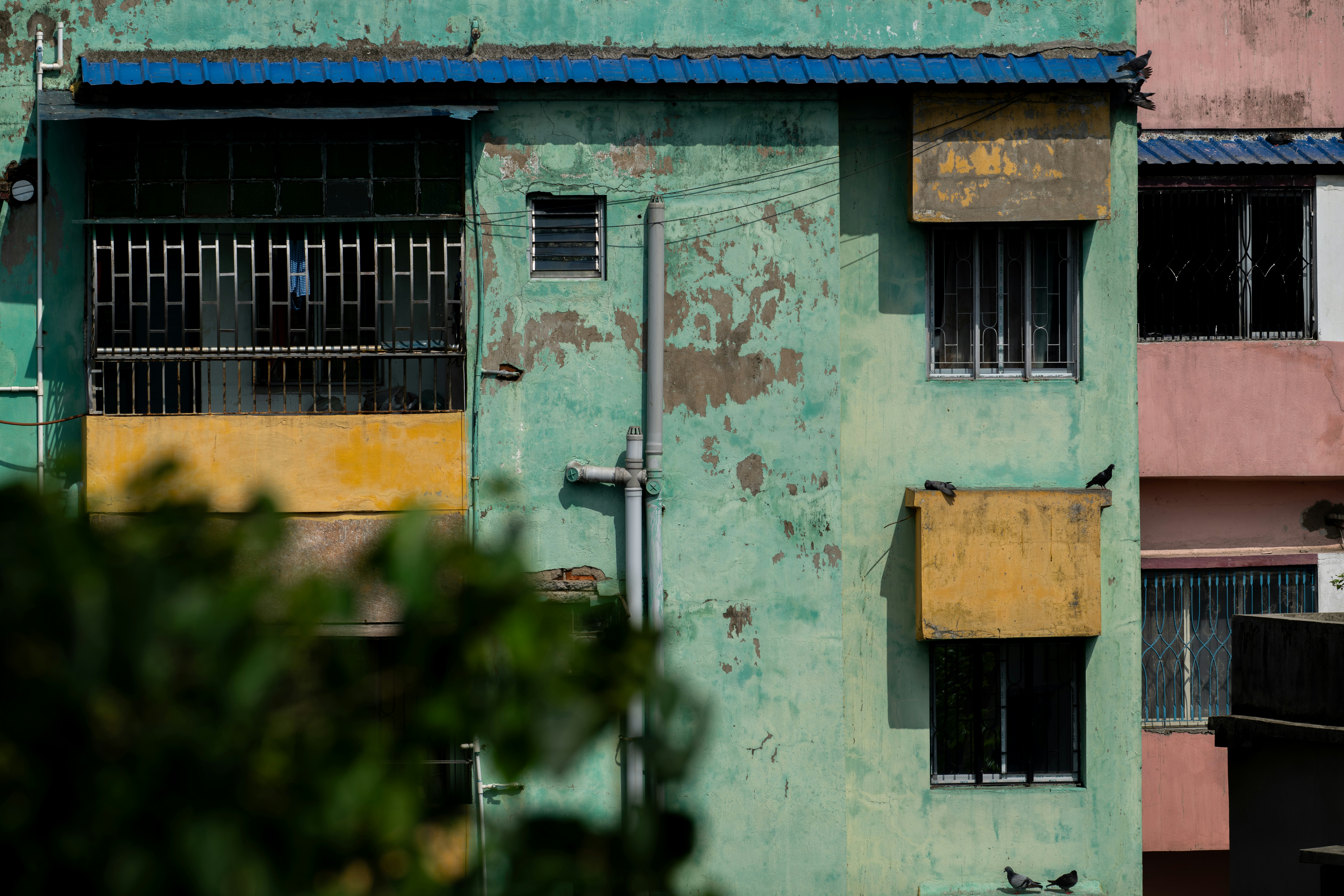 A weathered teal building with yellow accents and windows.