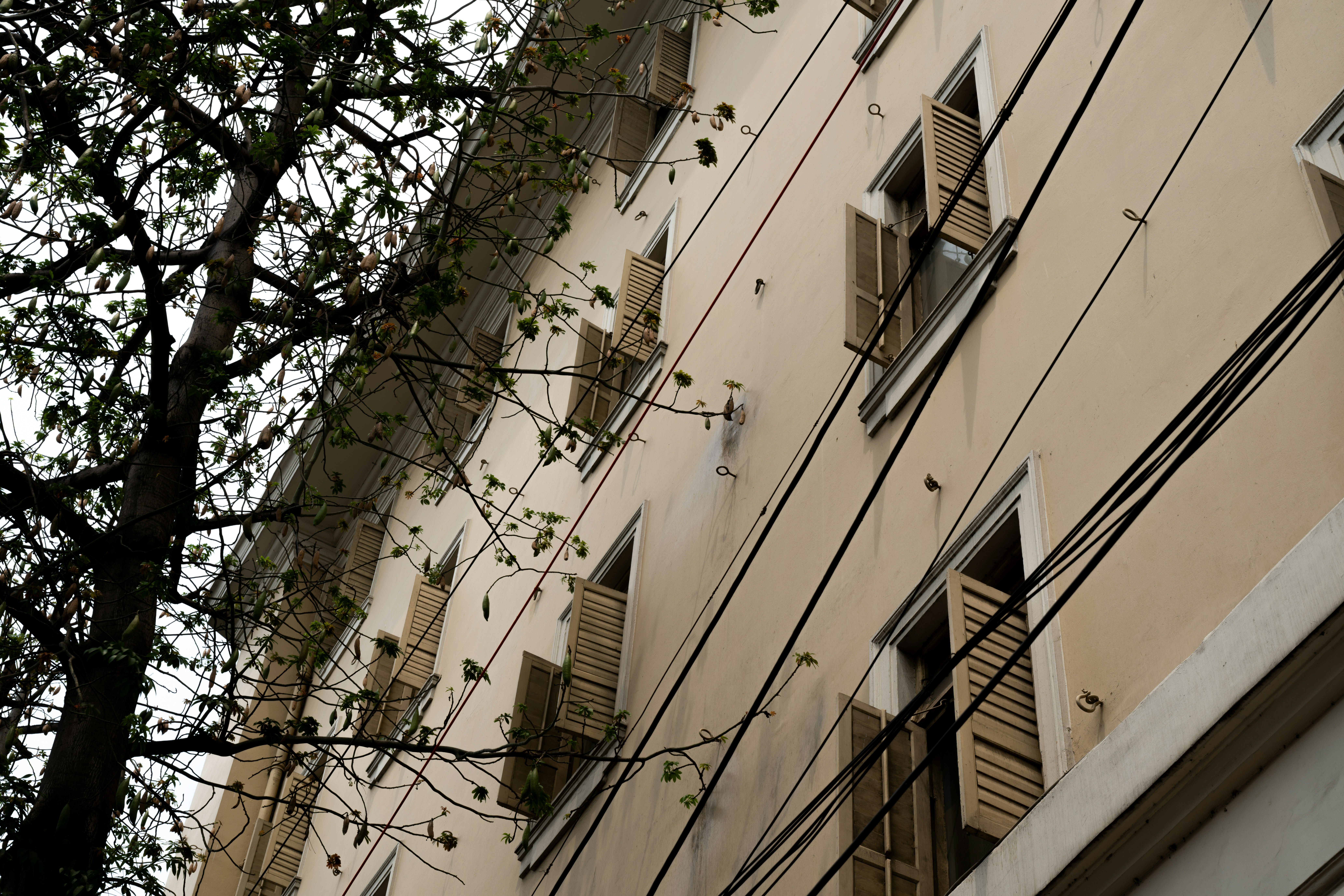 Building exterior with open shutters and tree branches