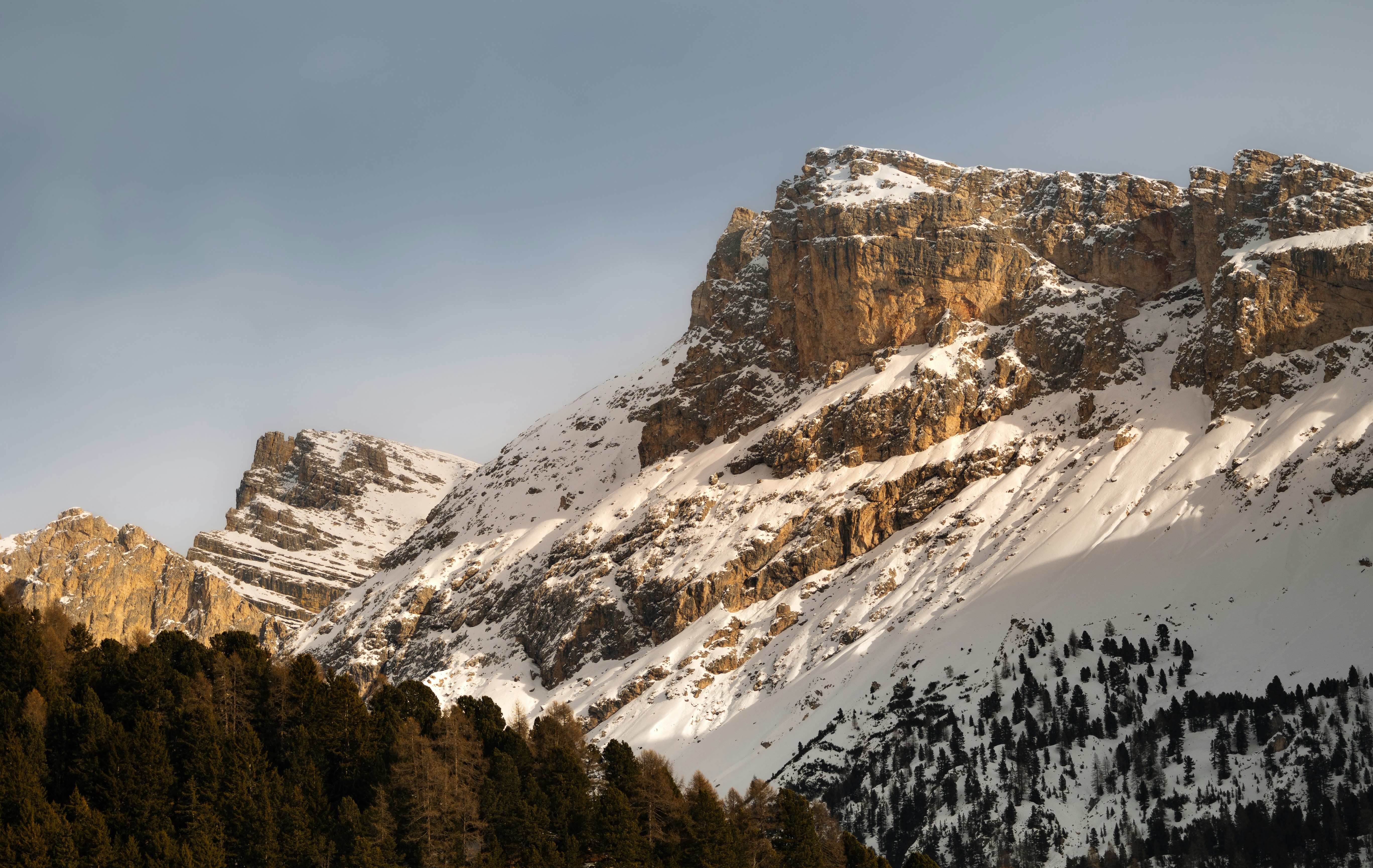 Snow-covered mountains with pine trees in the foreground.