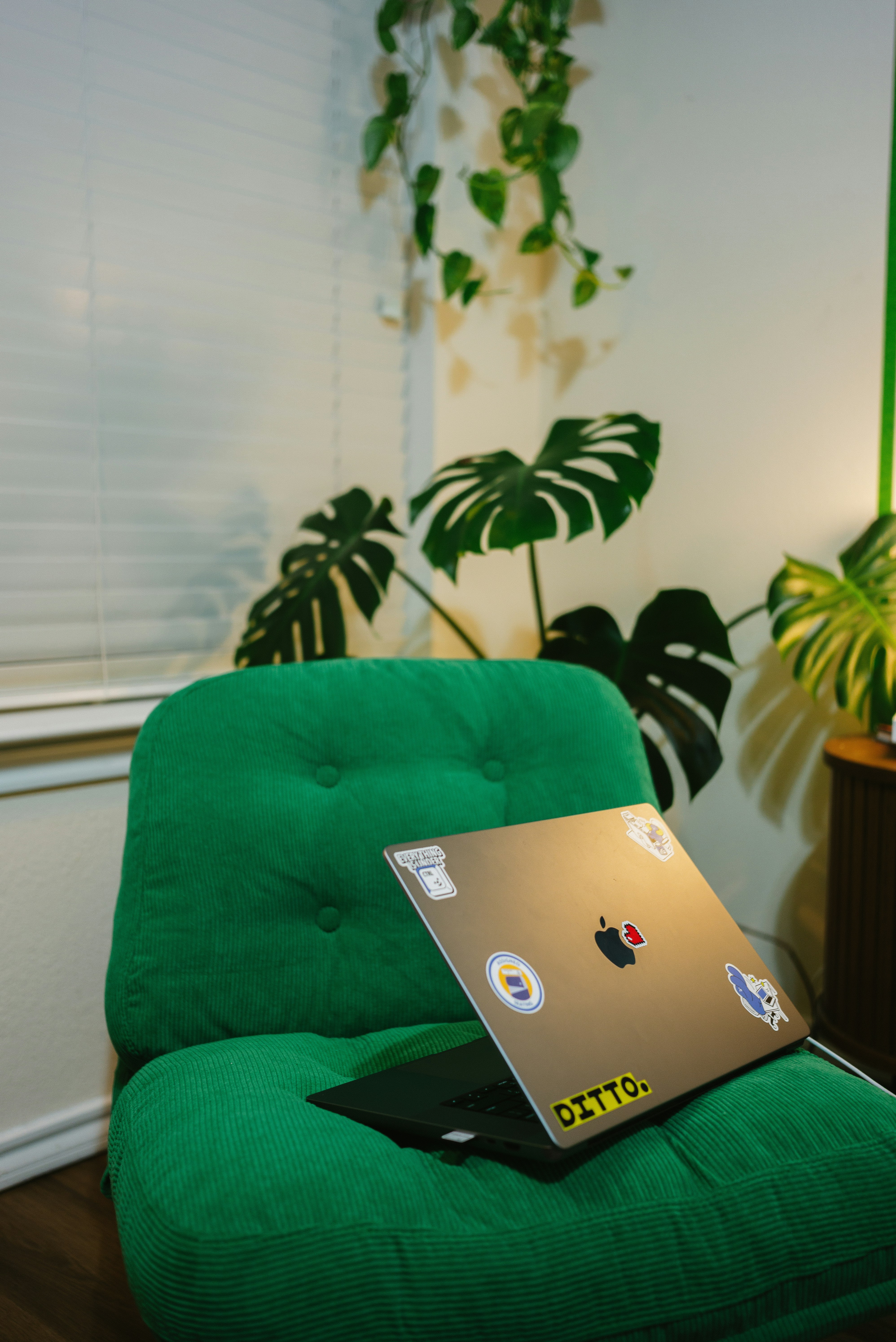 Laptop on a green chair with plants nearby