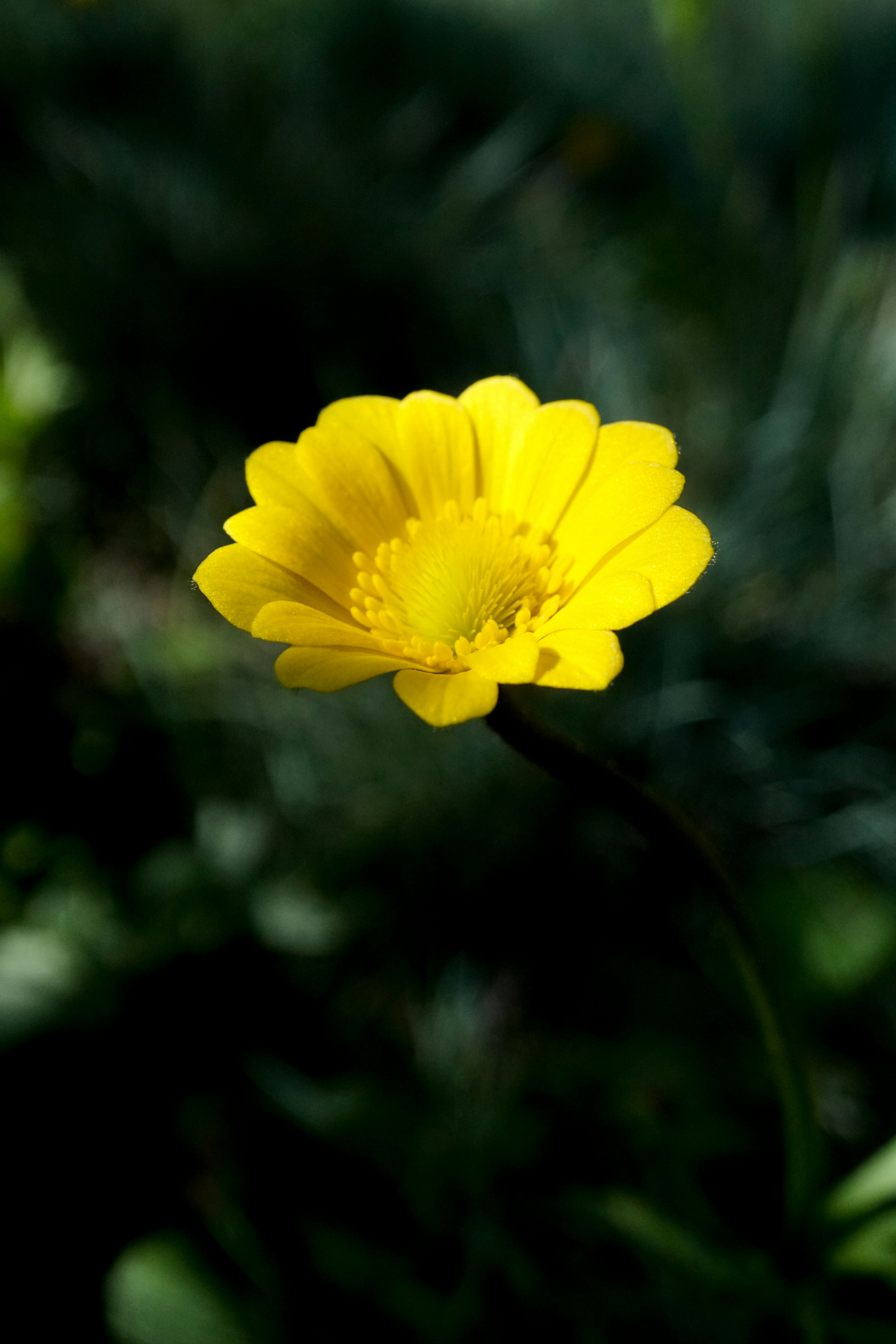 Photo by holzi11