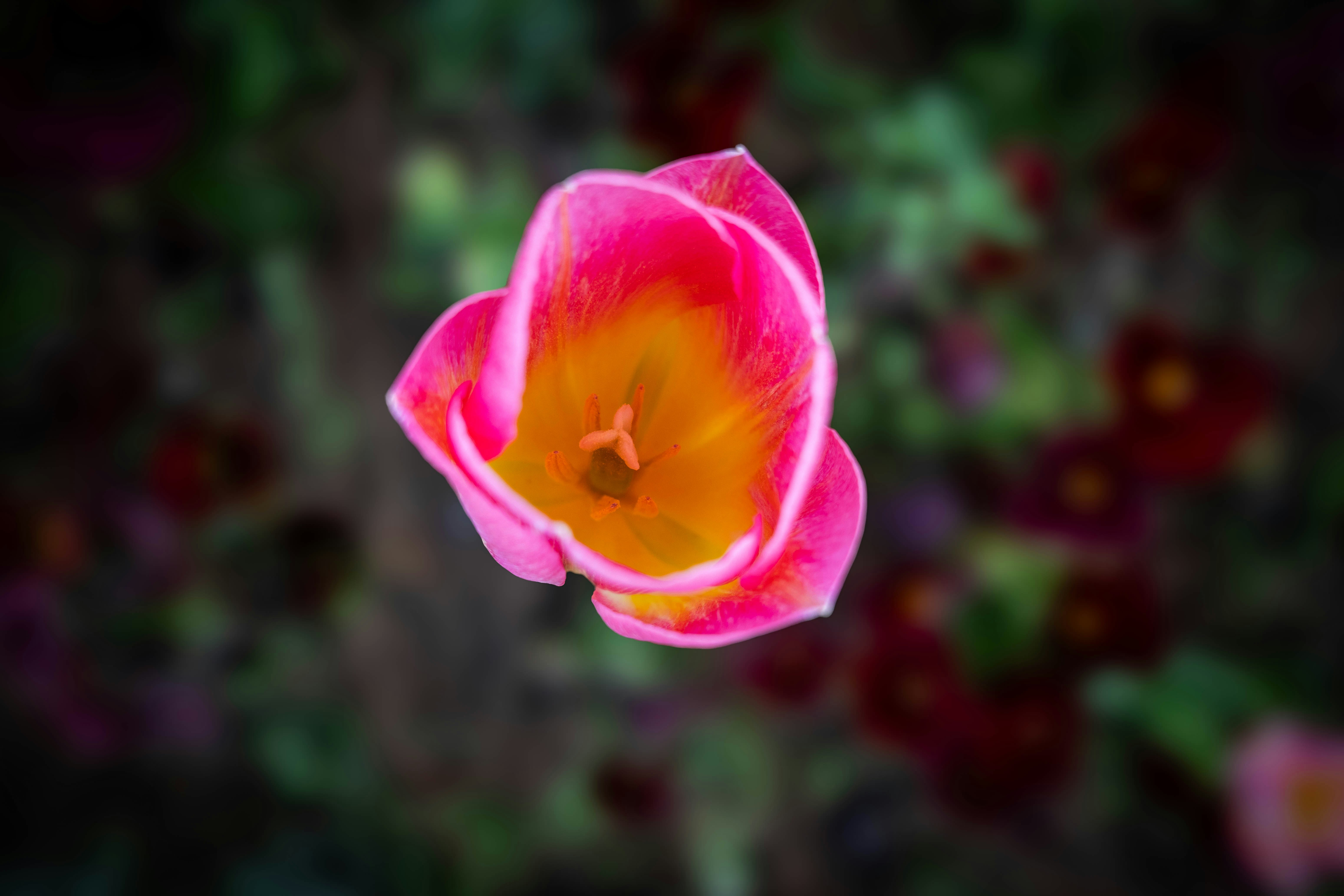 Photo by maviatlas