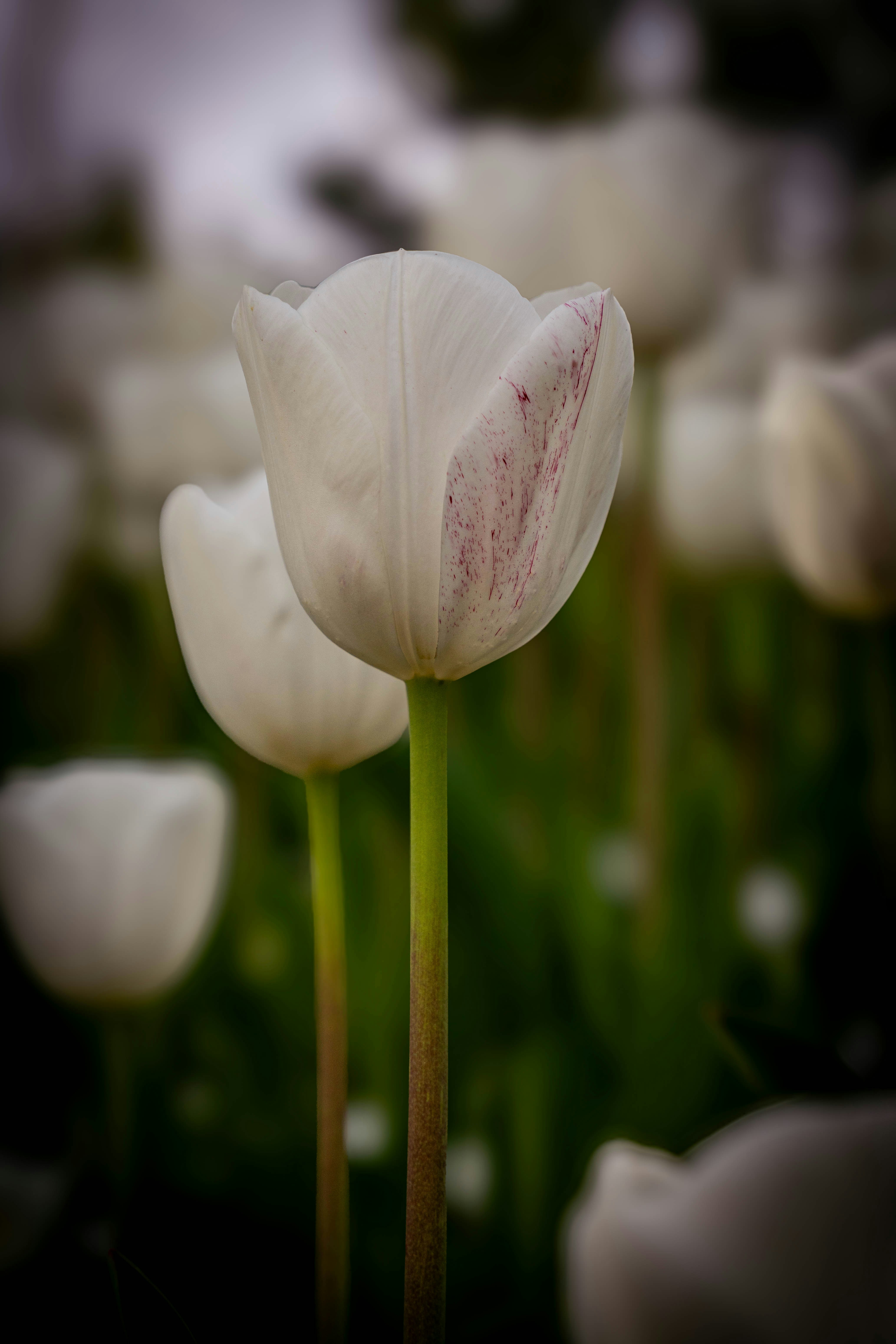 Photo by maviatlas