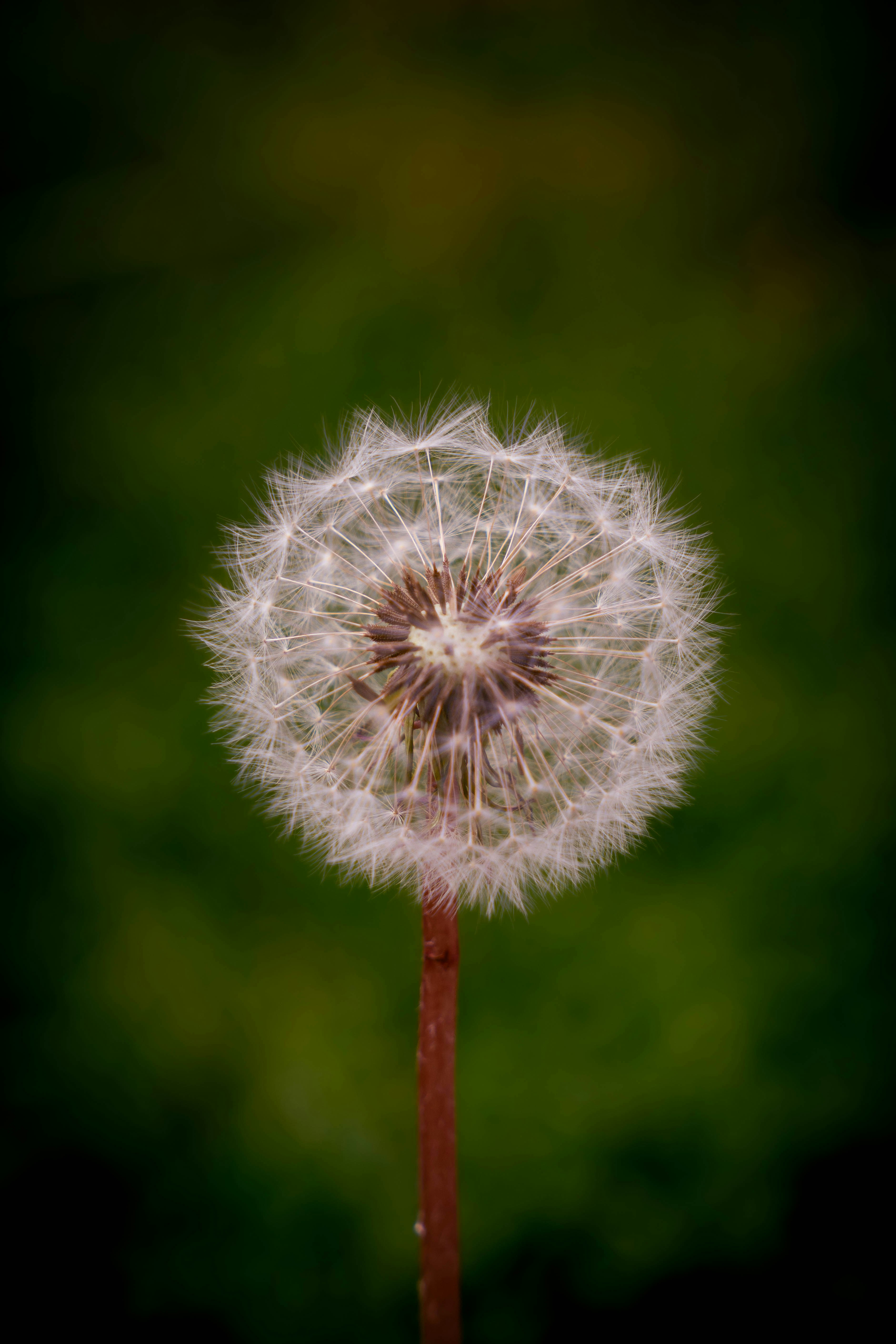 Photo by maviatlas