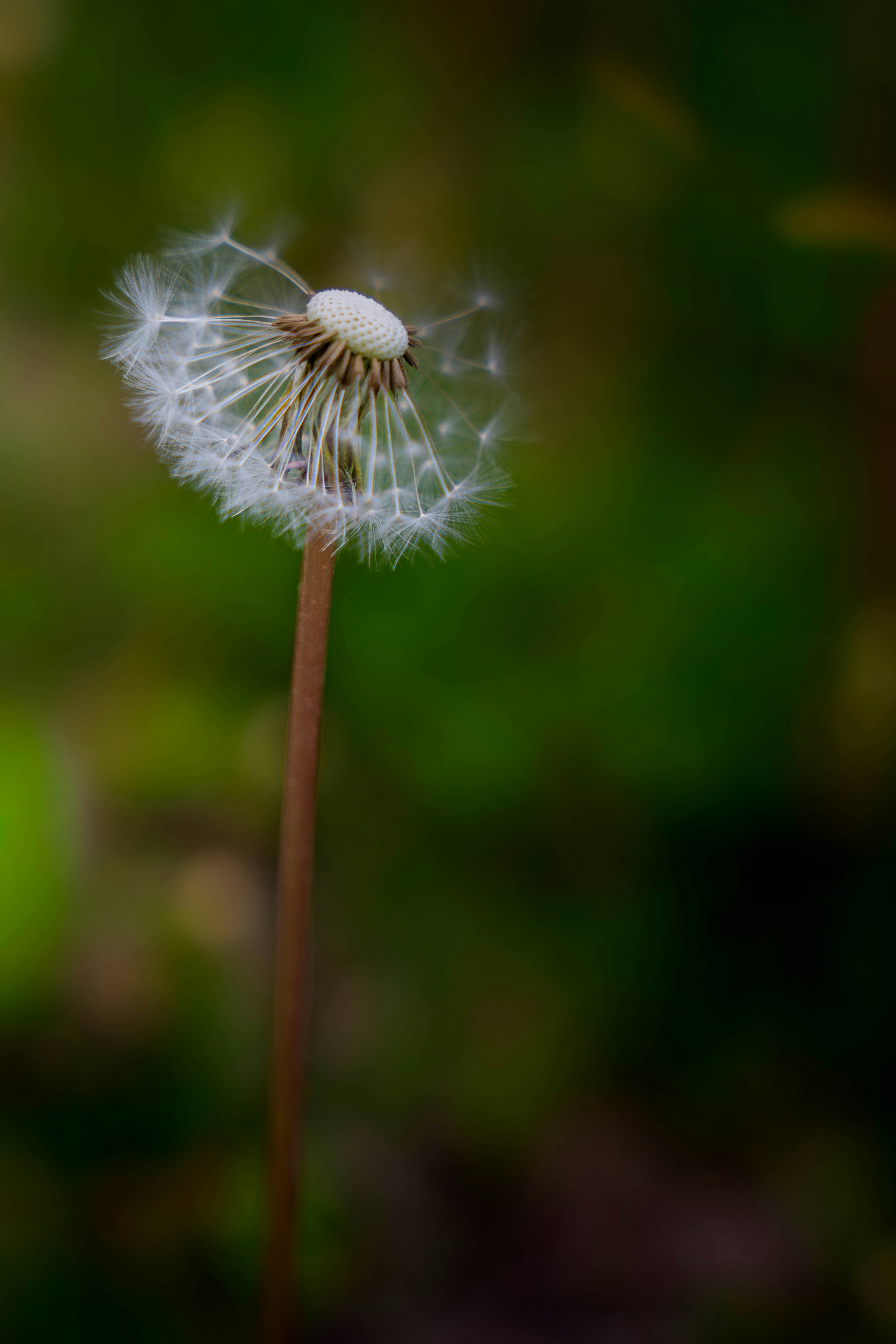 Photo by maviatlas