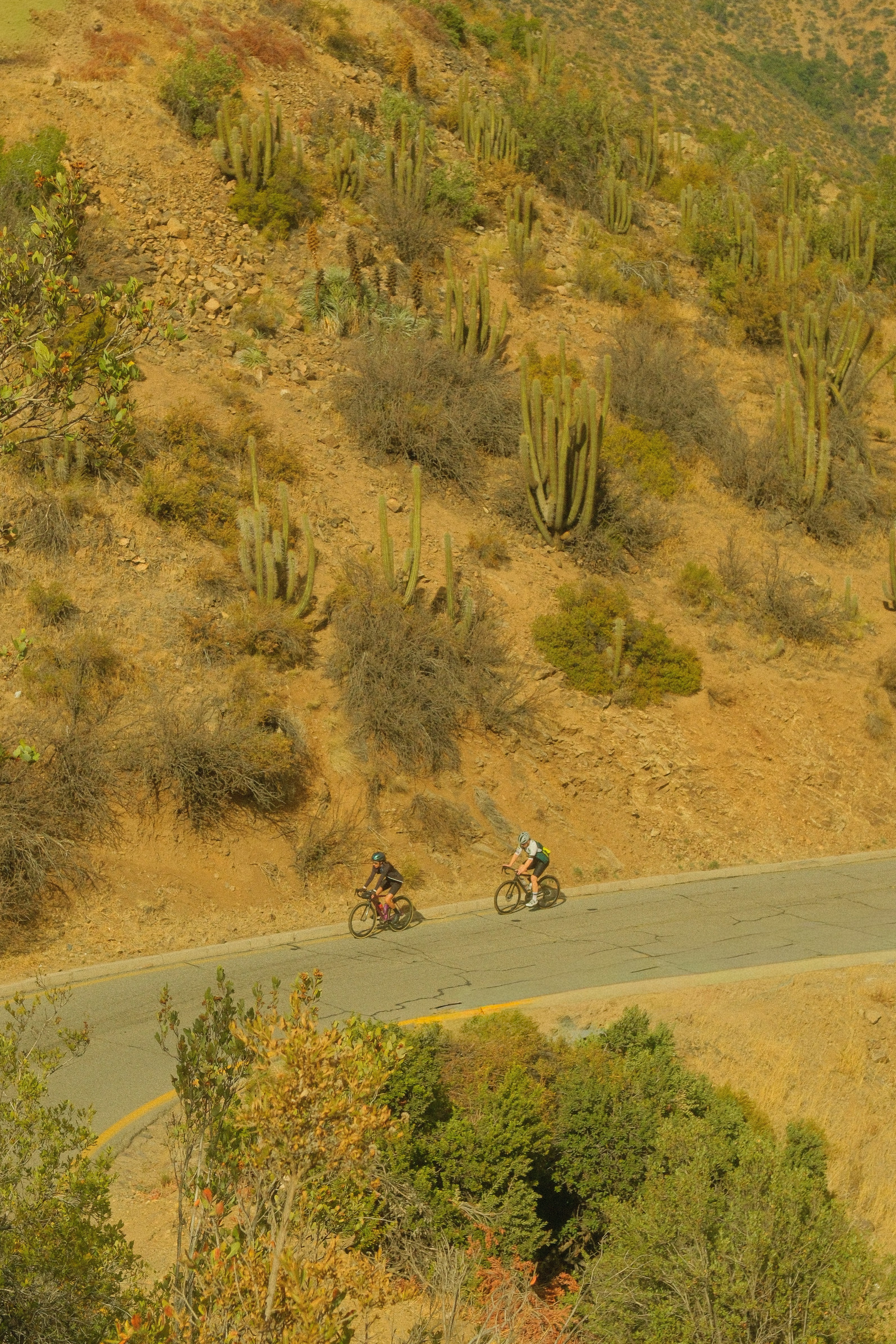 Two cyclists ride on a winding road through desert landscape.