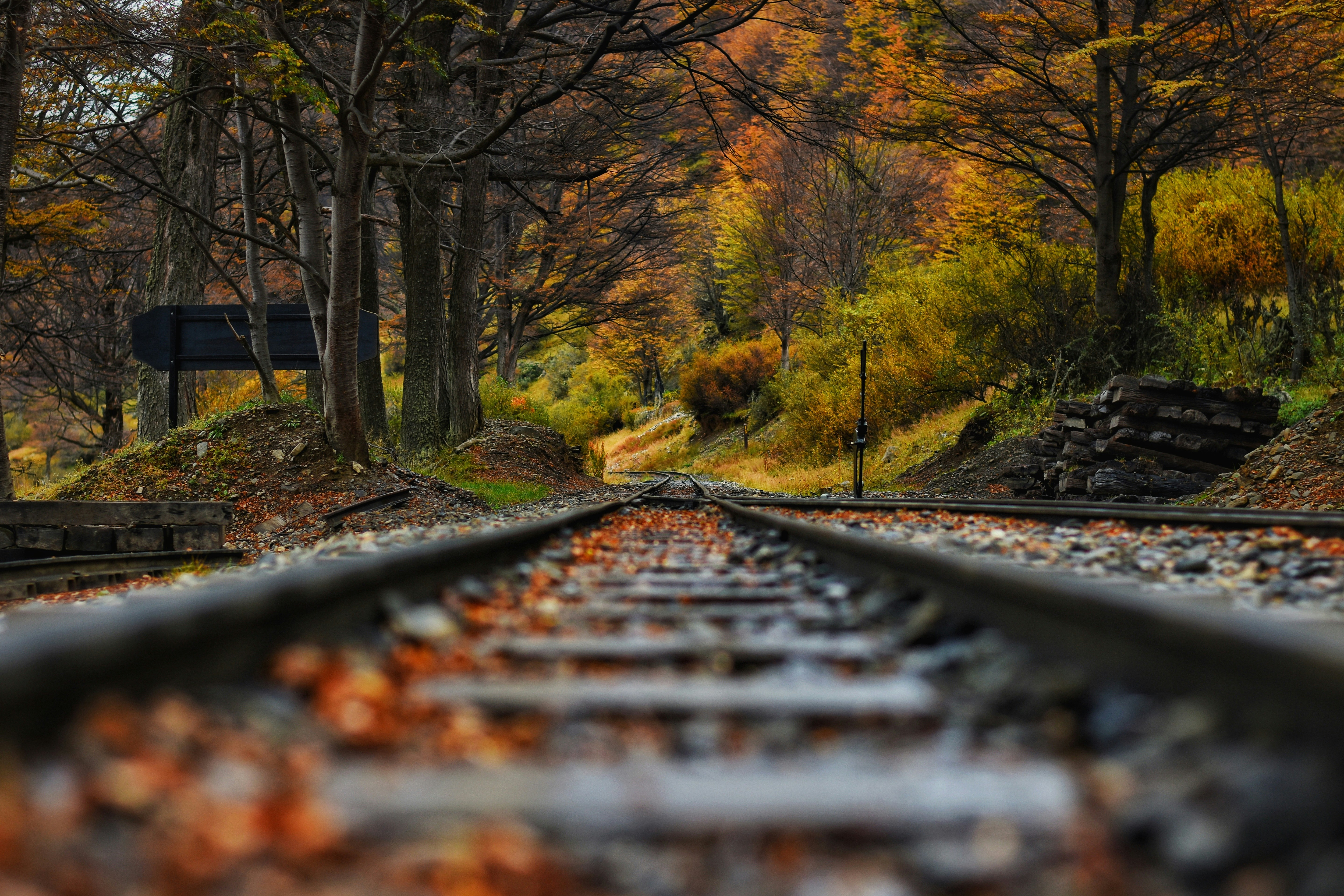 Trilho do Trem do Fim do Mundo
