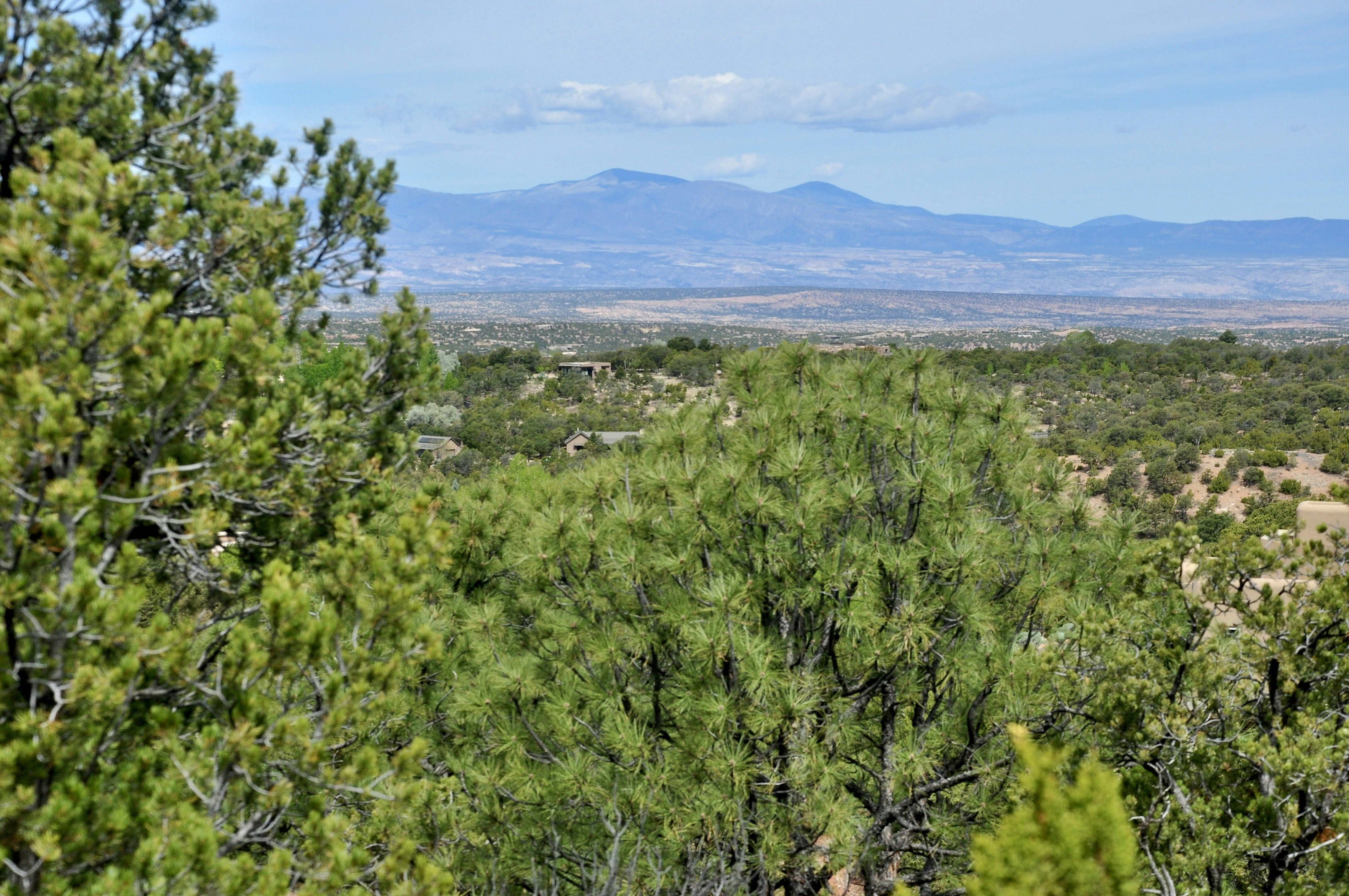 Green trees and distant mountains under a cloudy sky