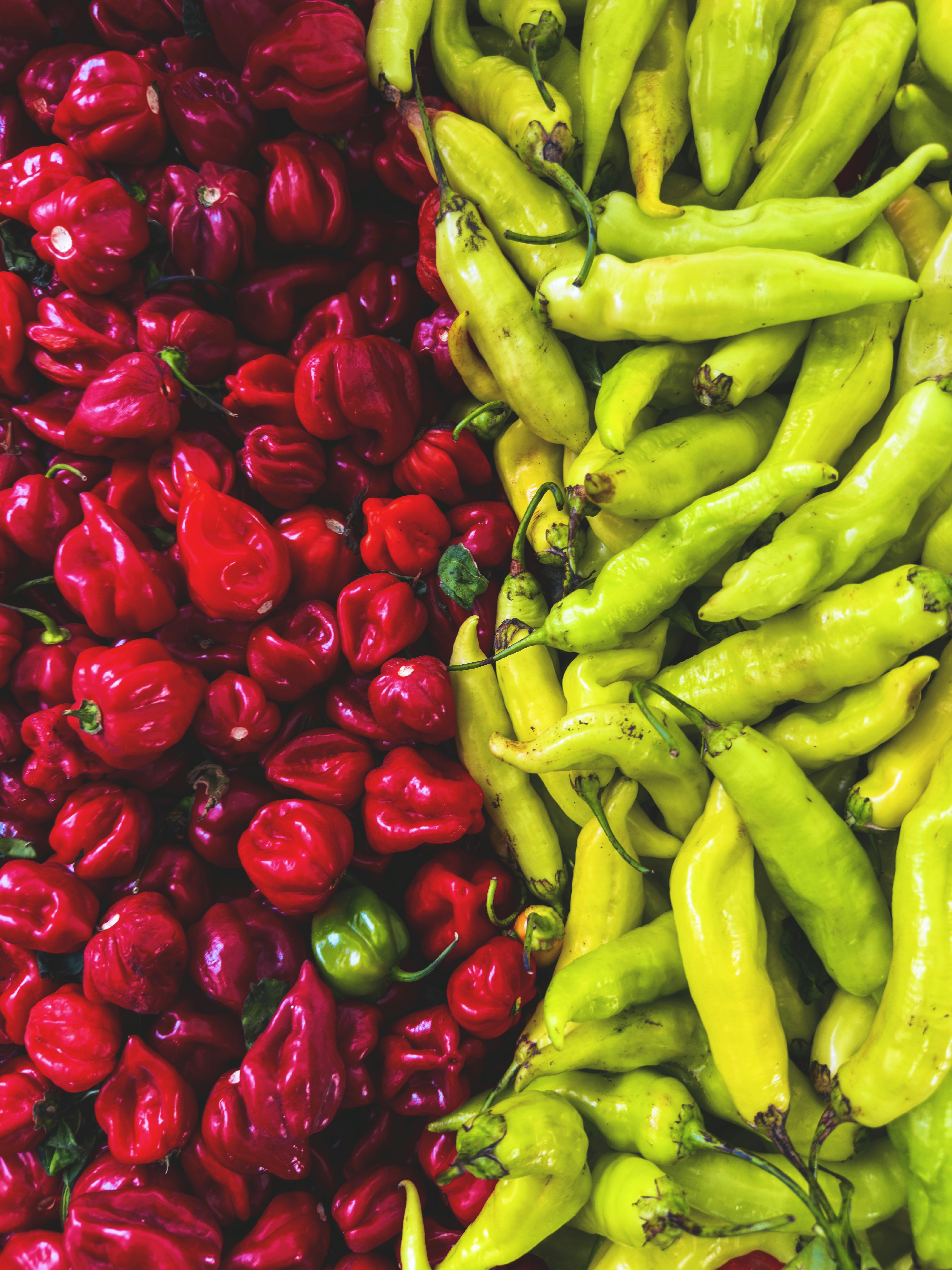 Les habanero rouges et les piments verts présentés ensemble