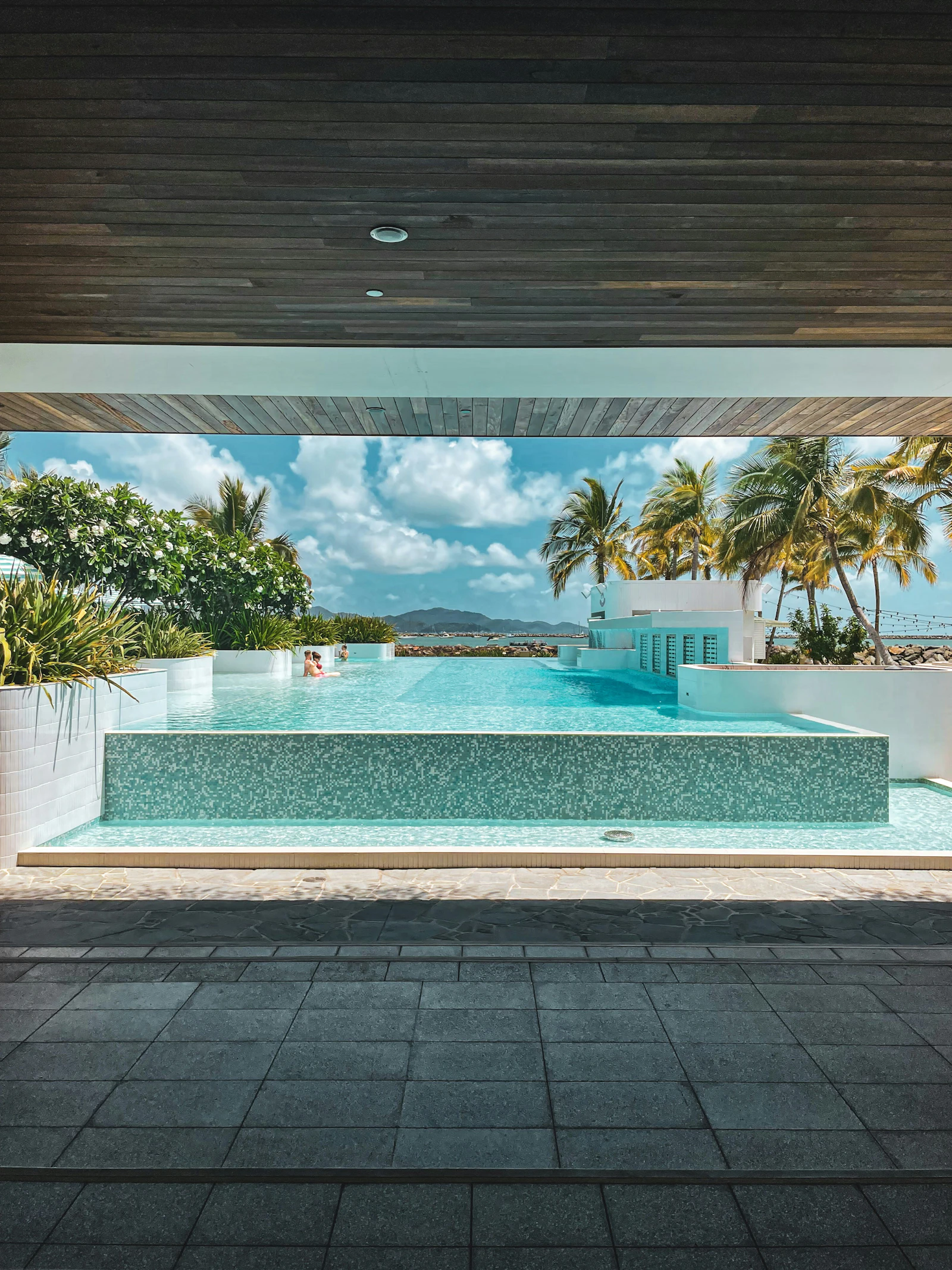 An infinity pool overlooking the ocean and palm trees at a tropical resort