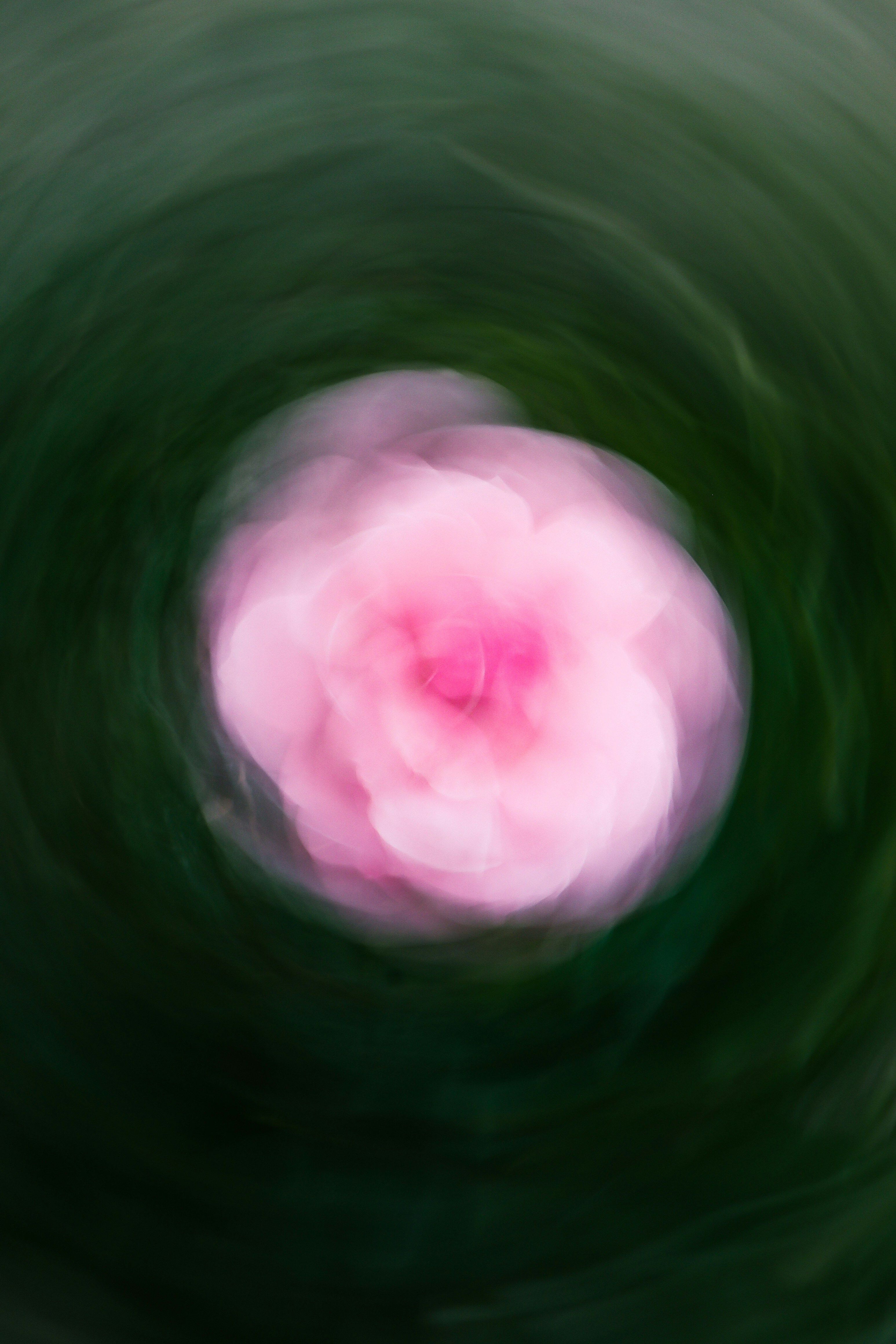 Abstrakte rosa Blume mit wirbelndem grünen Hintergrund