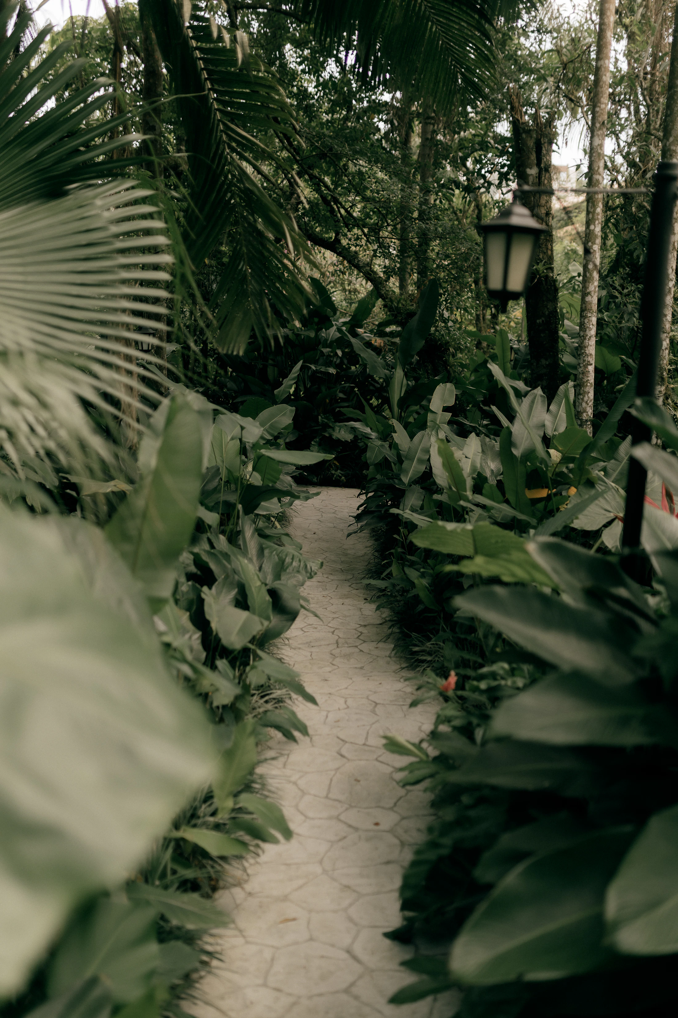 緑と石が調和した庭園