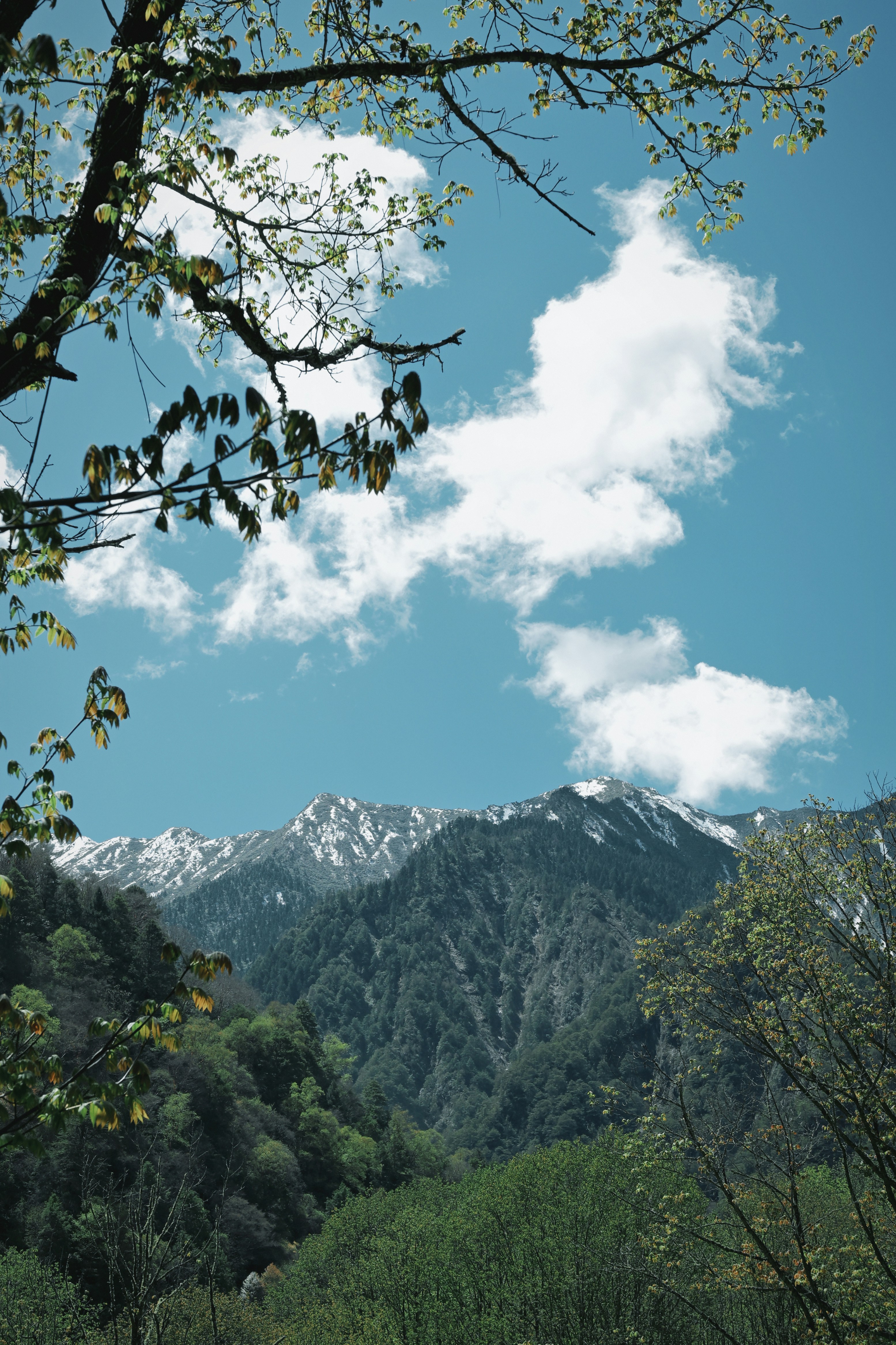 Snow-capped mountains under a blue sky with clouds