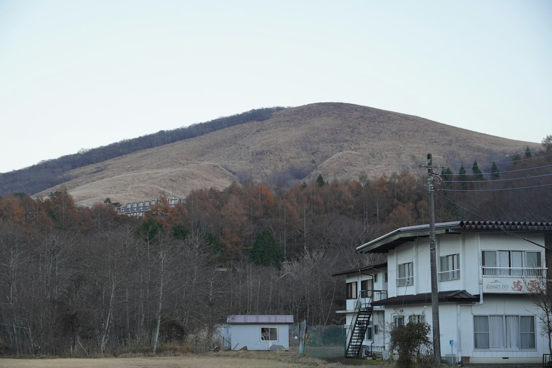 Asahiyama (旭山市民スキー場)