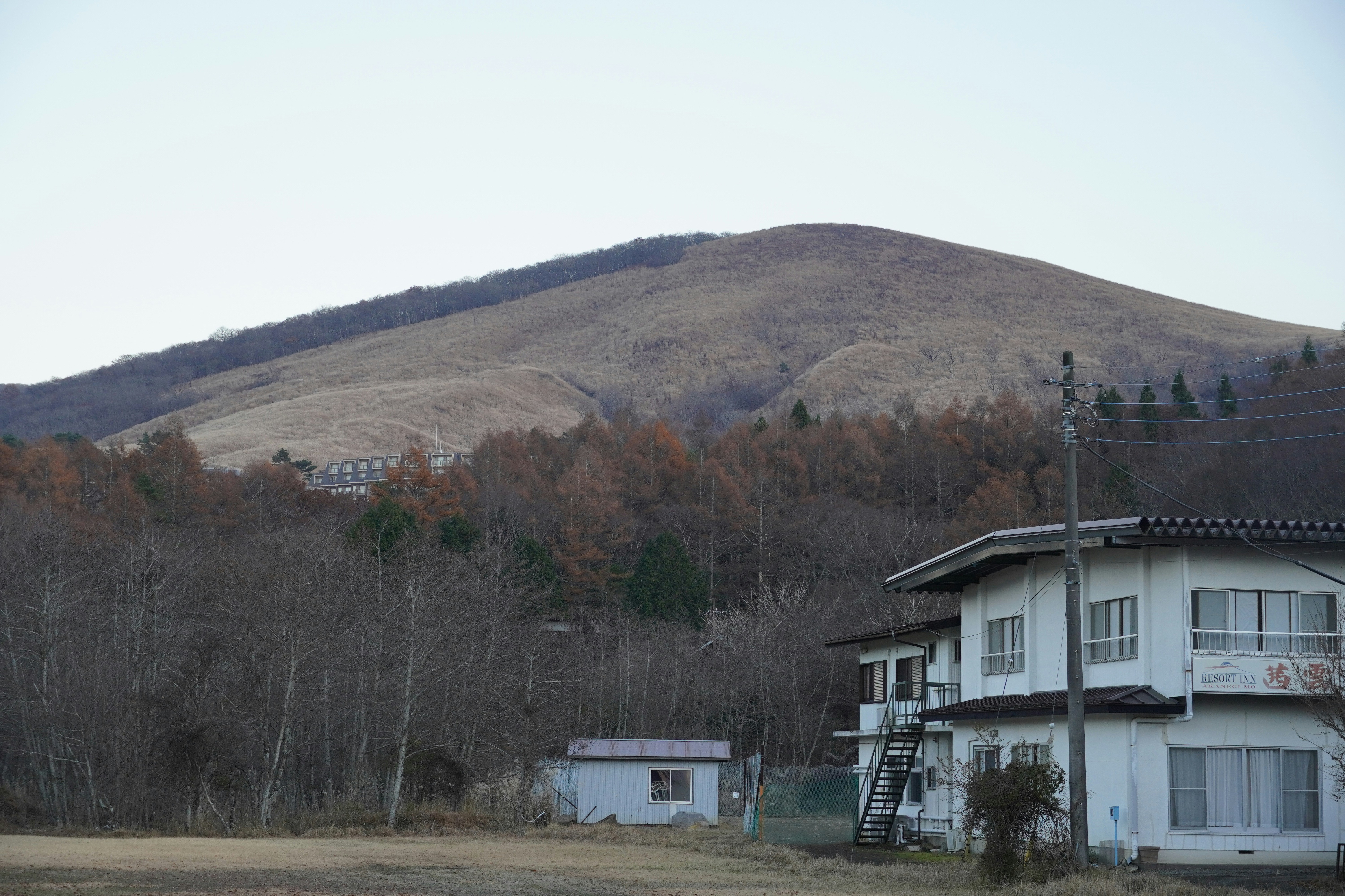 Photo by dsnphotography