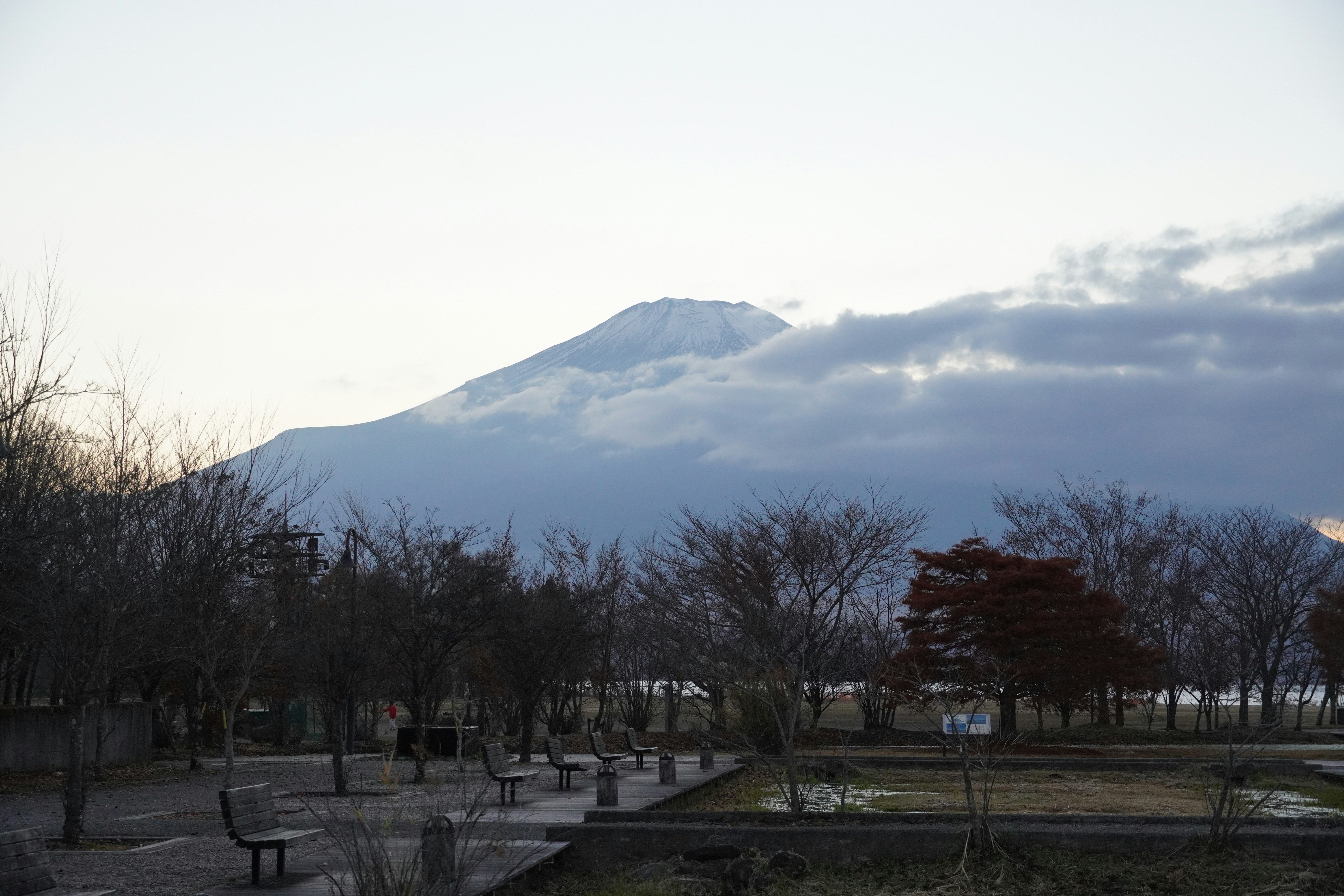 Snow-capped mountain peak behind bare trees and park.