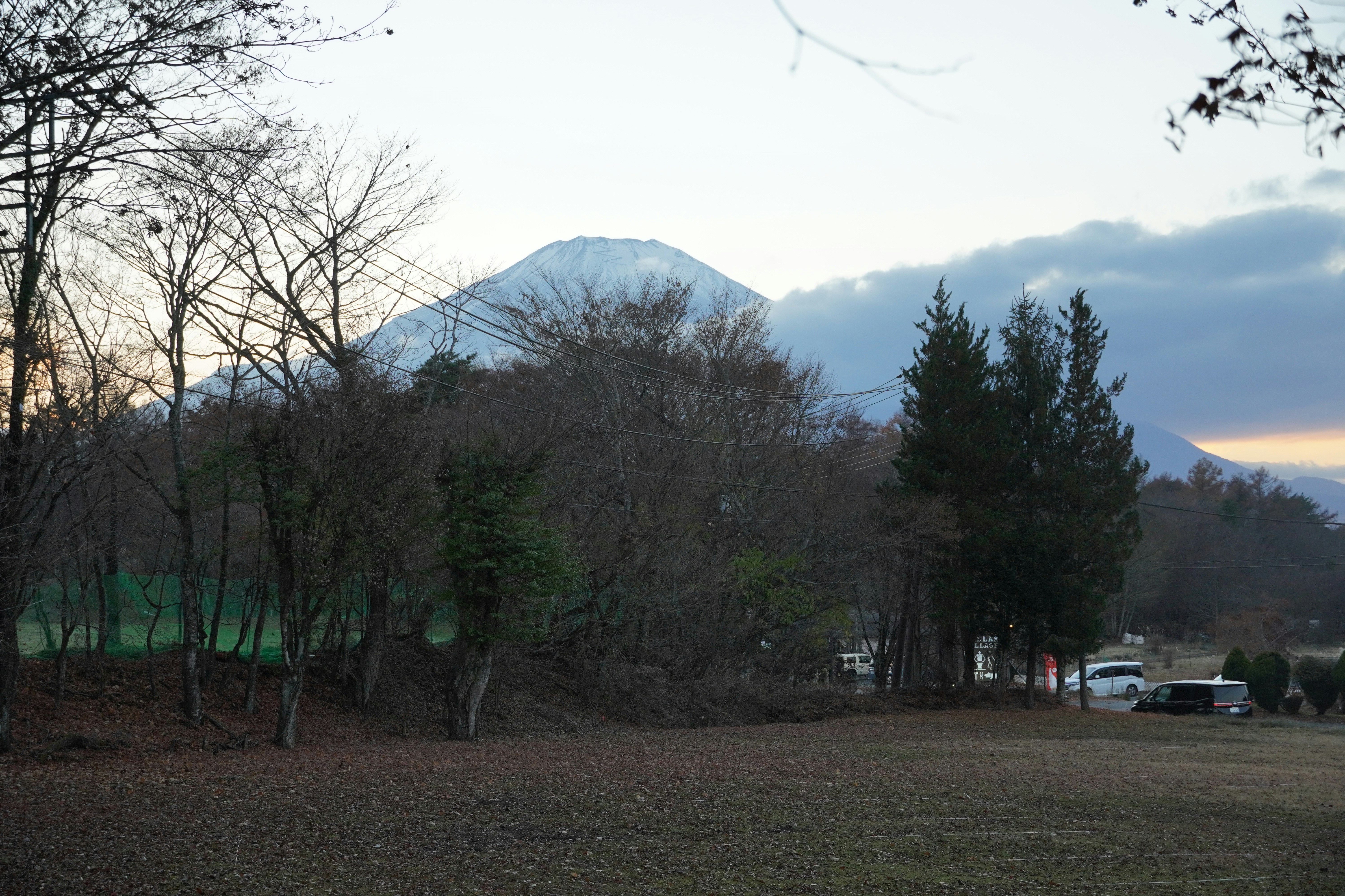 Snow-capped mountain behind bare trees at dusk