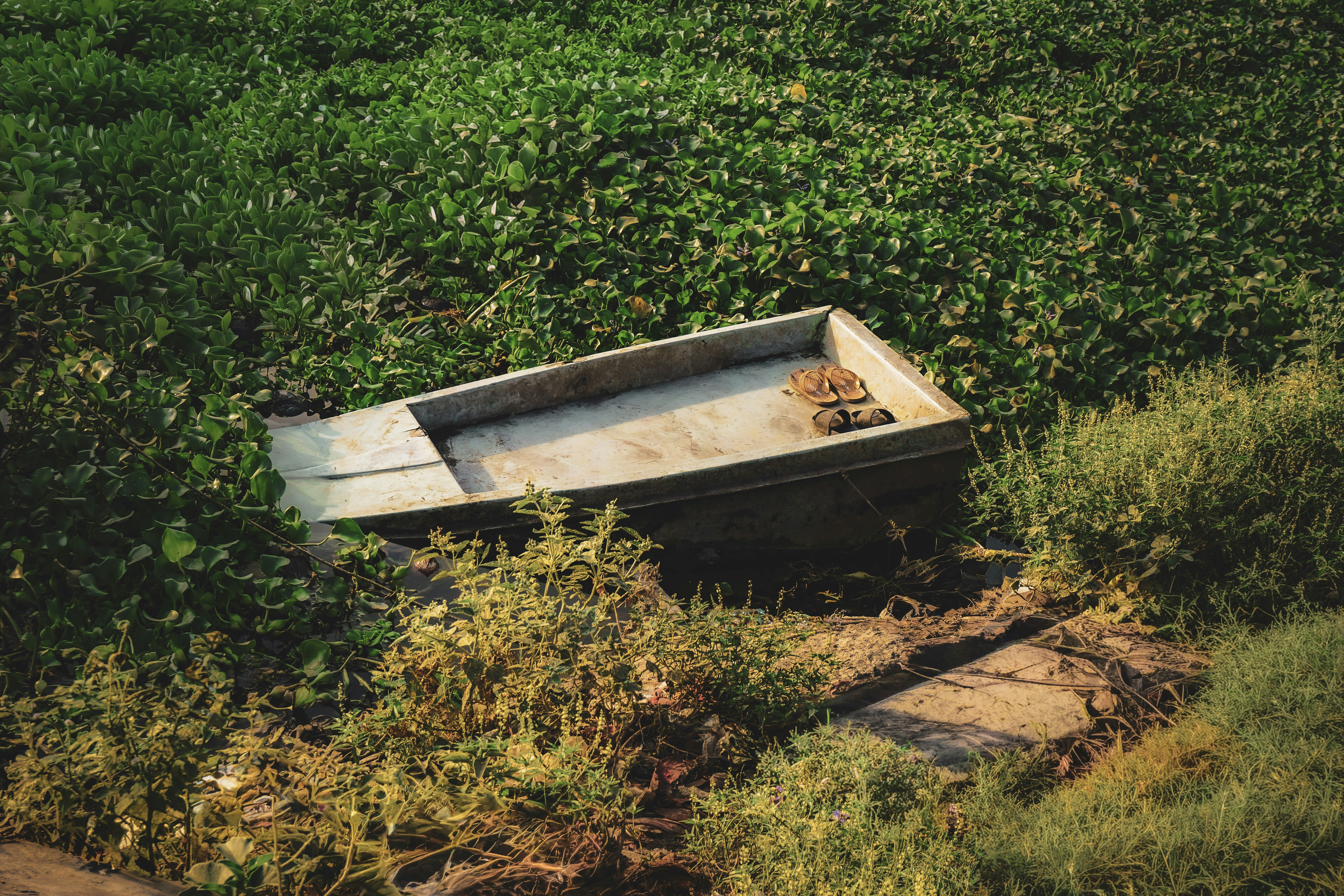 Um barco de alumínio abandonado repousa em vegetação verde e coberta de vegetação.