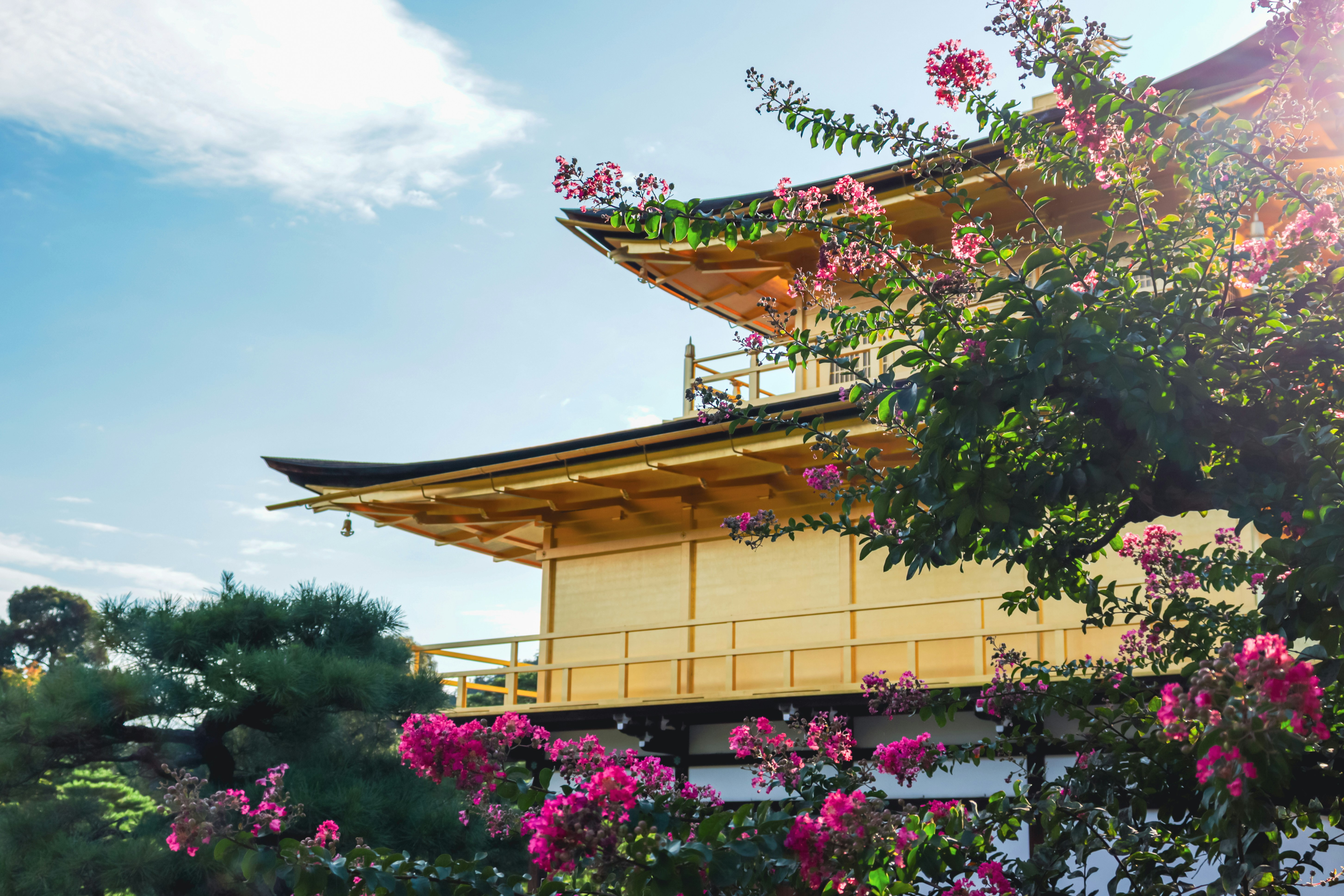 Goldener Tempel mit rosa Blumen unter blauem Himmel