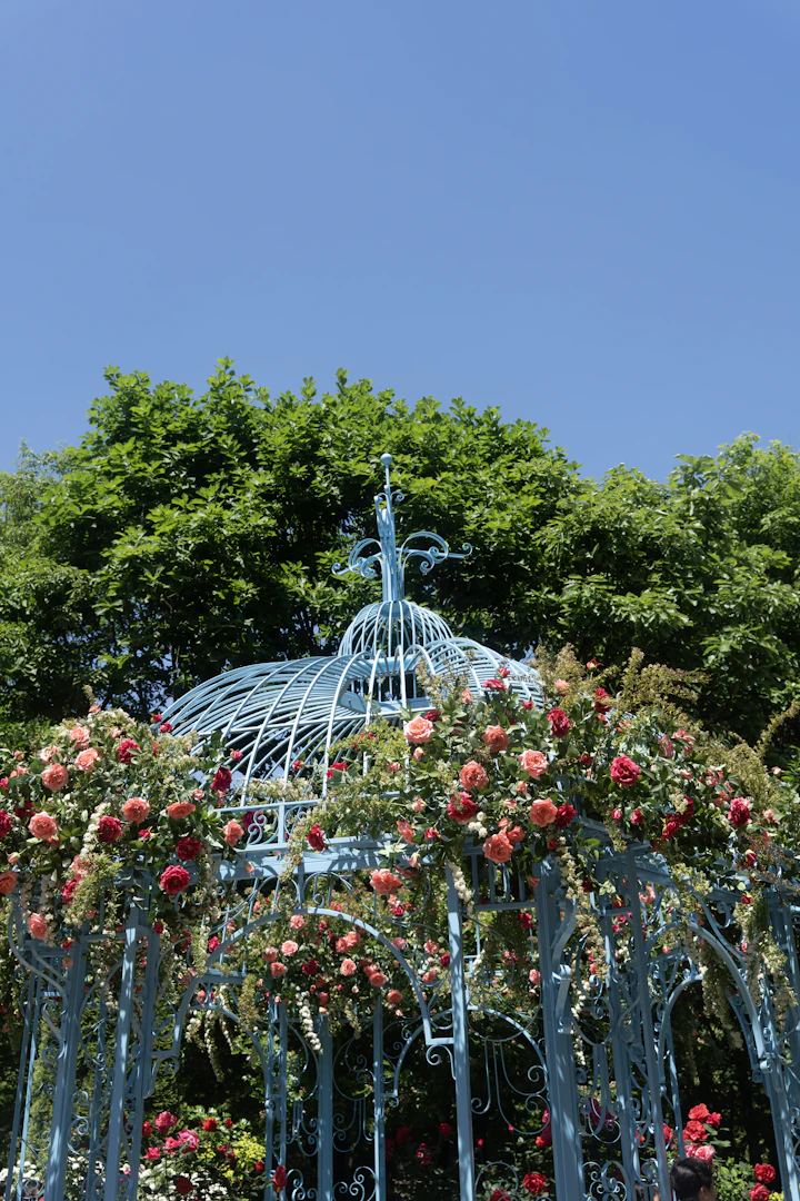 3x3m pop-up gazebo