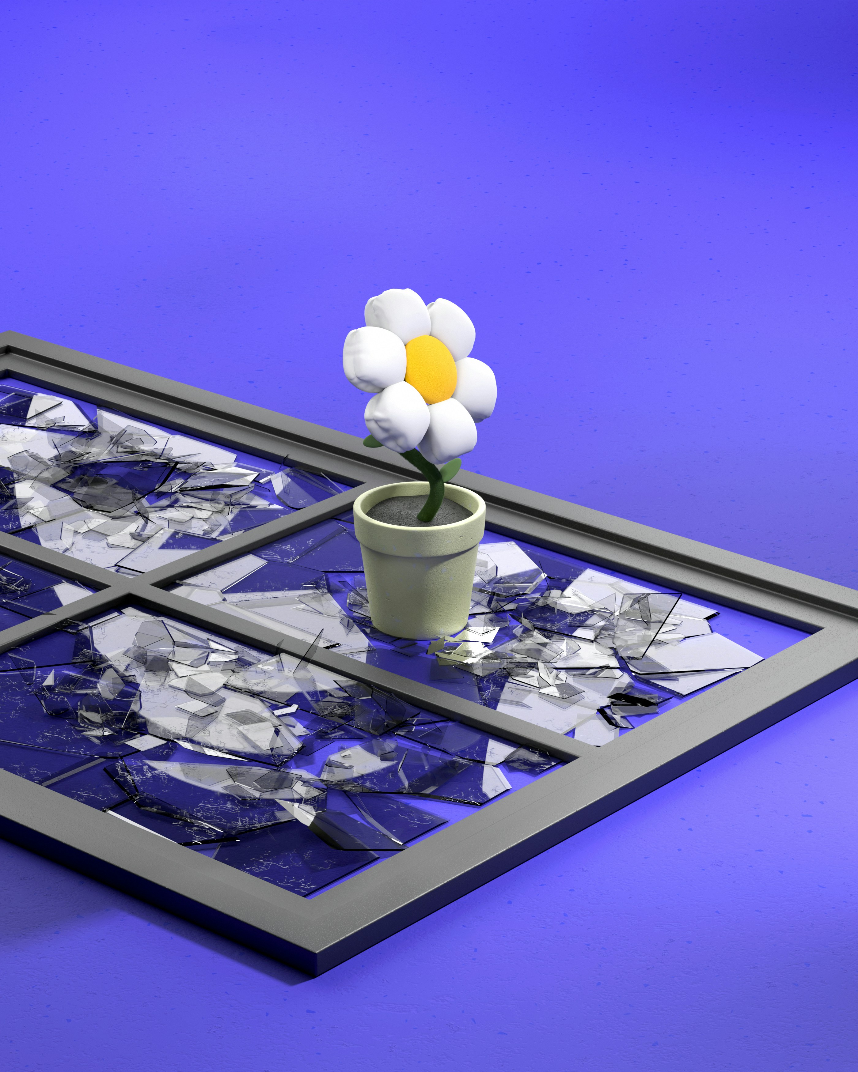 A single flower grows through a broken window