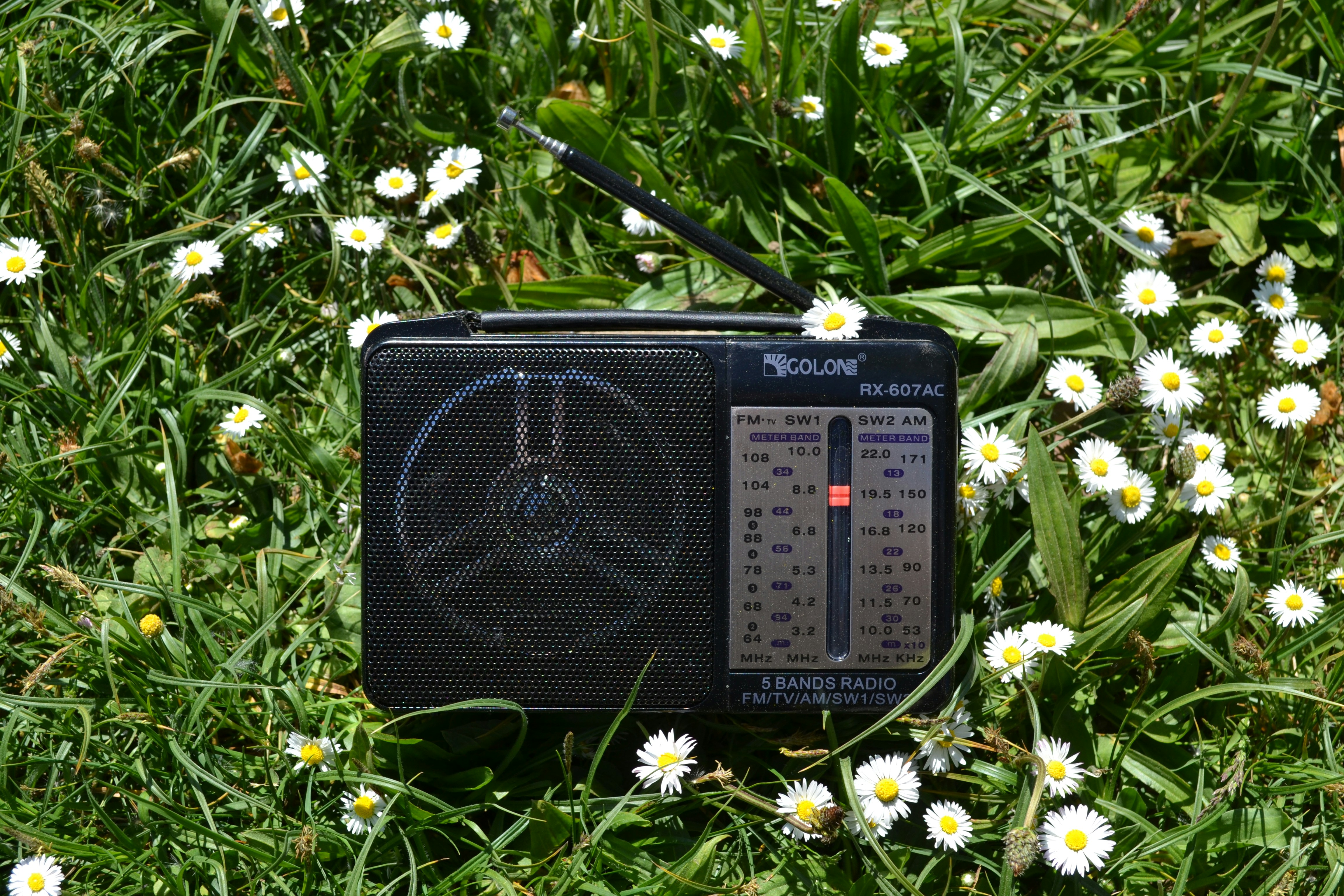 Ein altes Radio steht auf einem Feld voller Gänseblümchen.