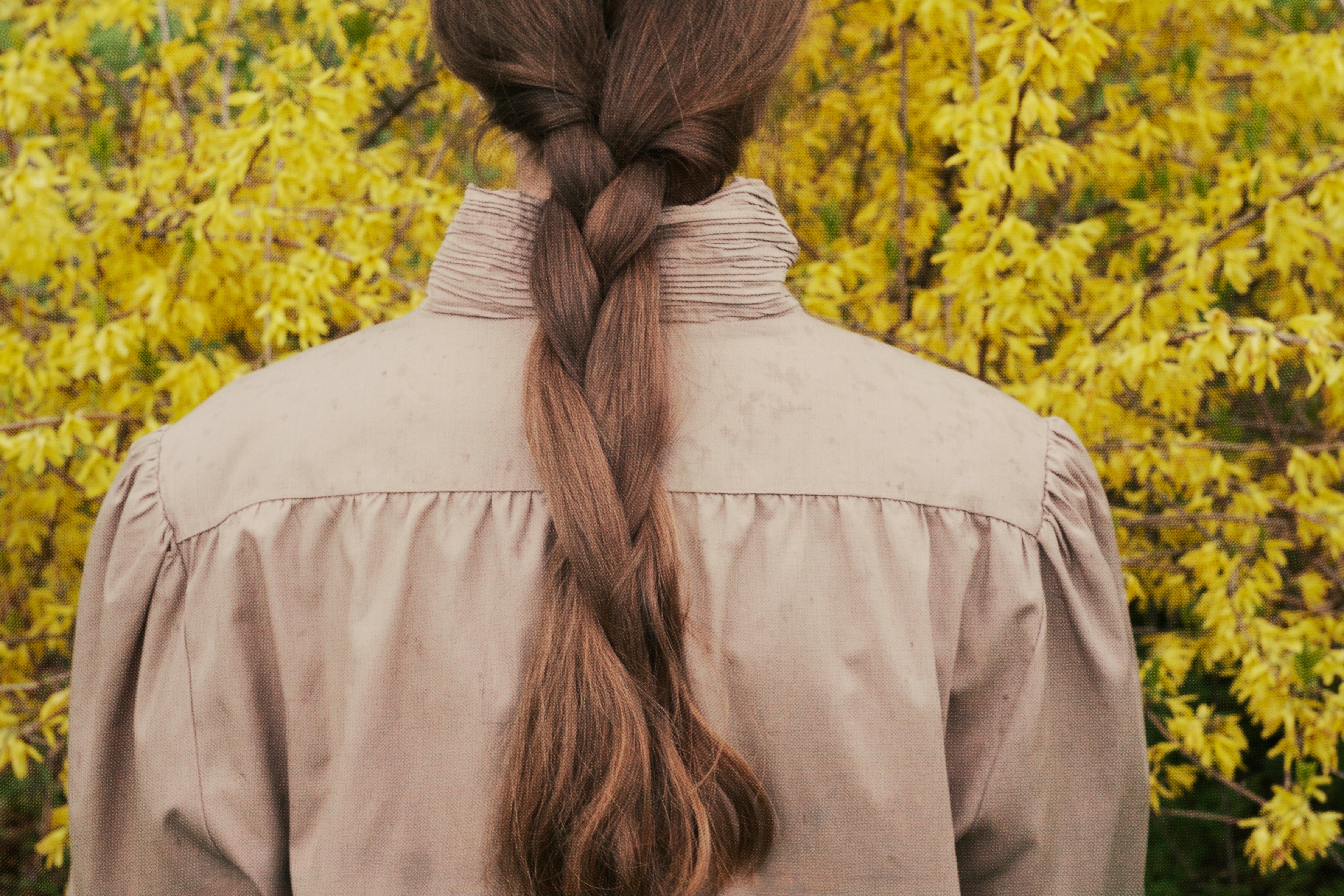 Woman with braided hair in front of yellow flowers