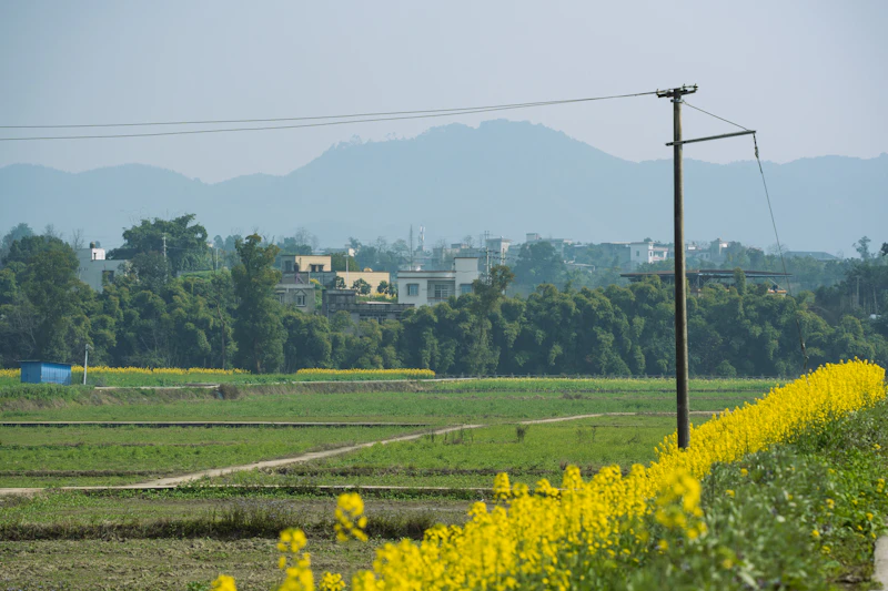 Best Weekend Getaways From Purulia: Short Trips Worth Every Kilometre