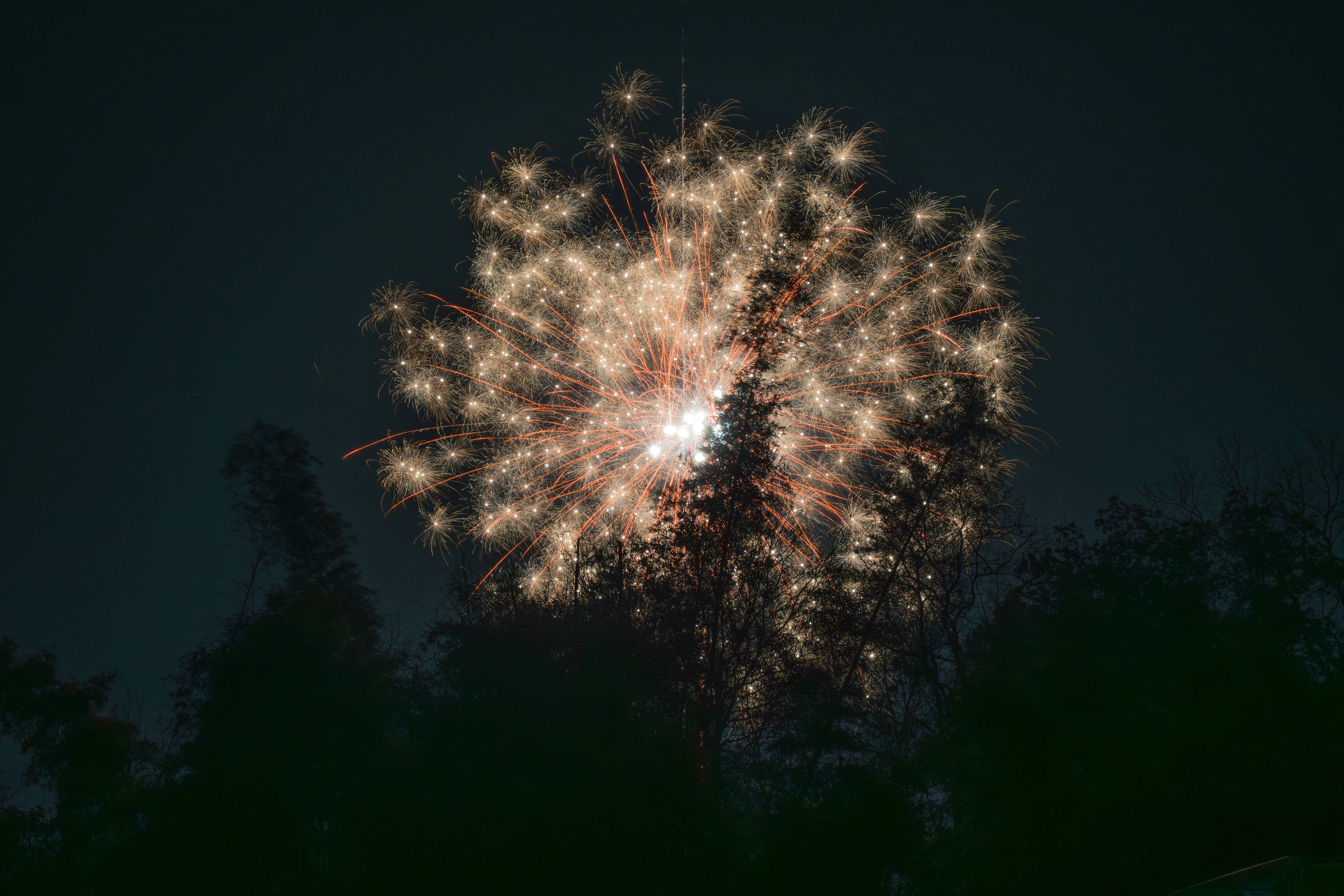 Photo by tyr123