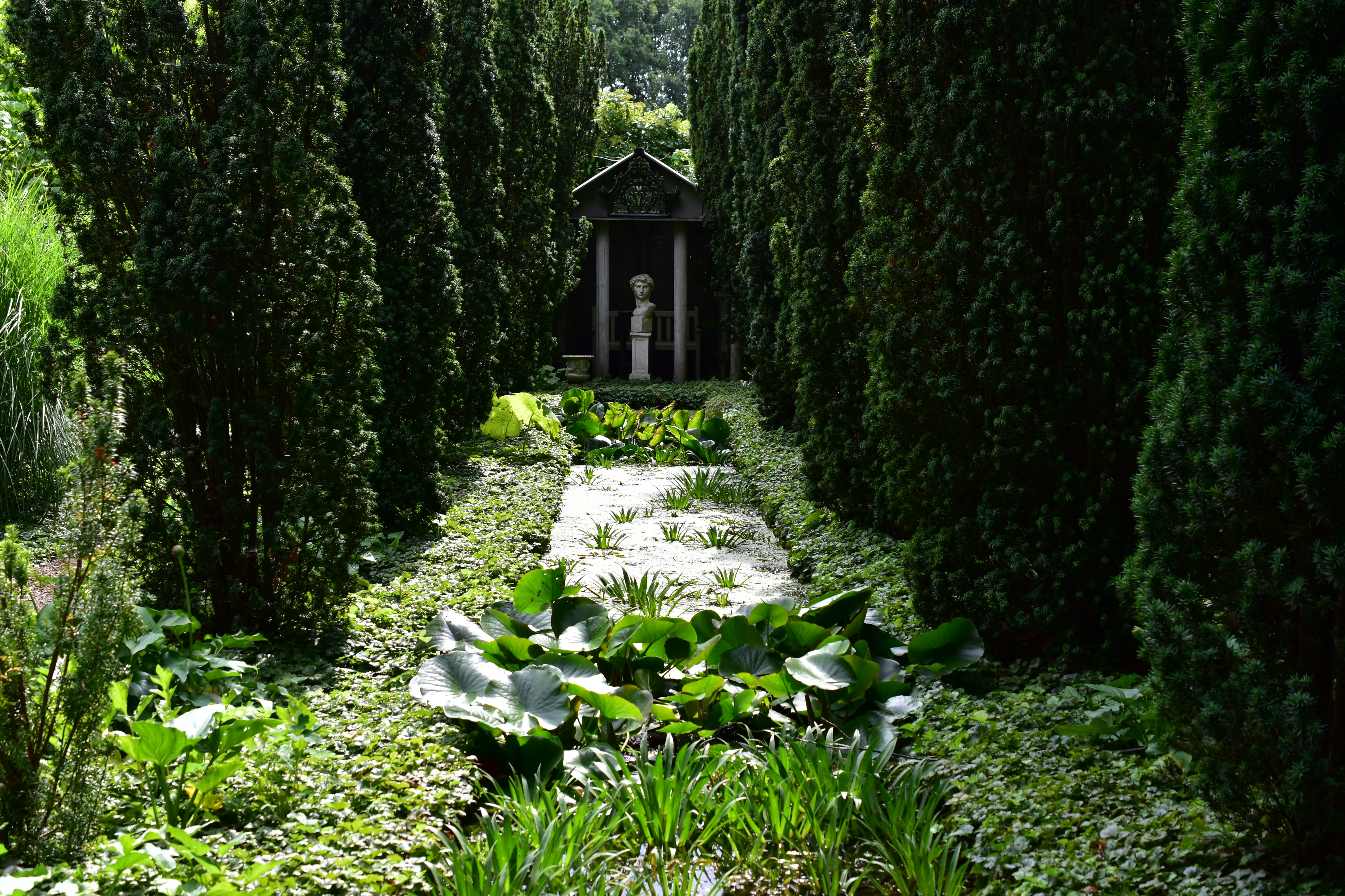 A pathway through a garden lined with tall trees.
