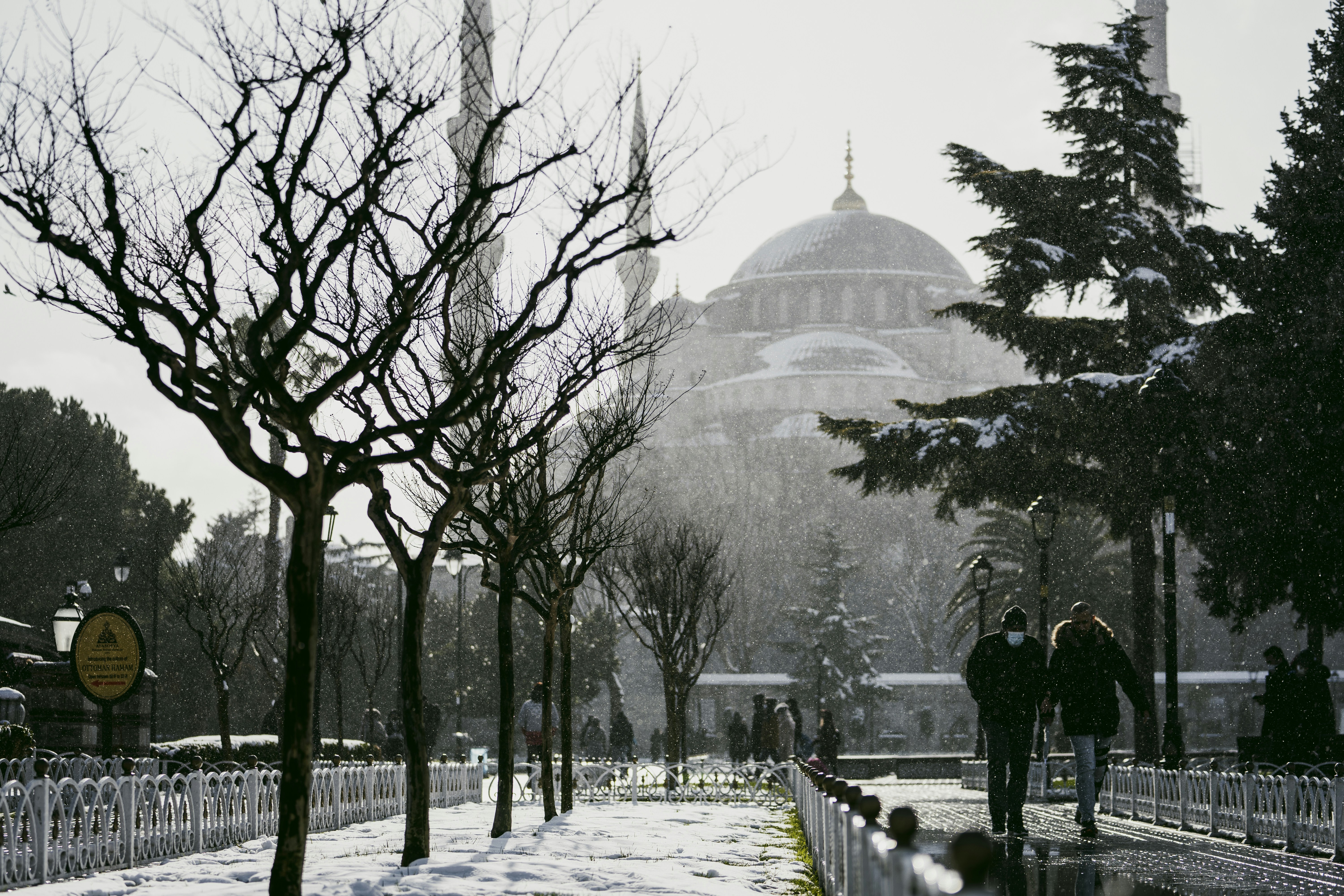 Two people walk past bare trees in a snowy park