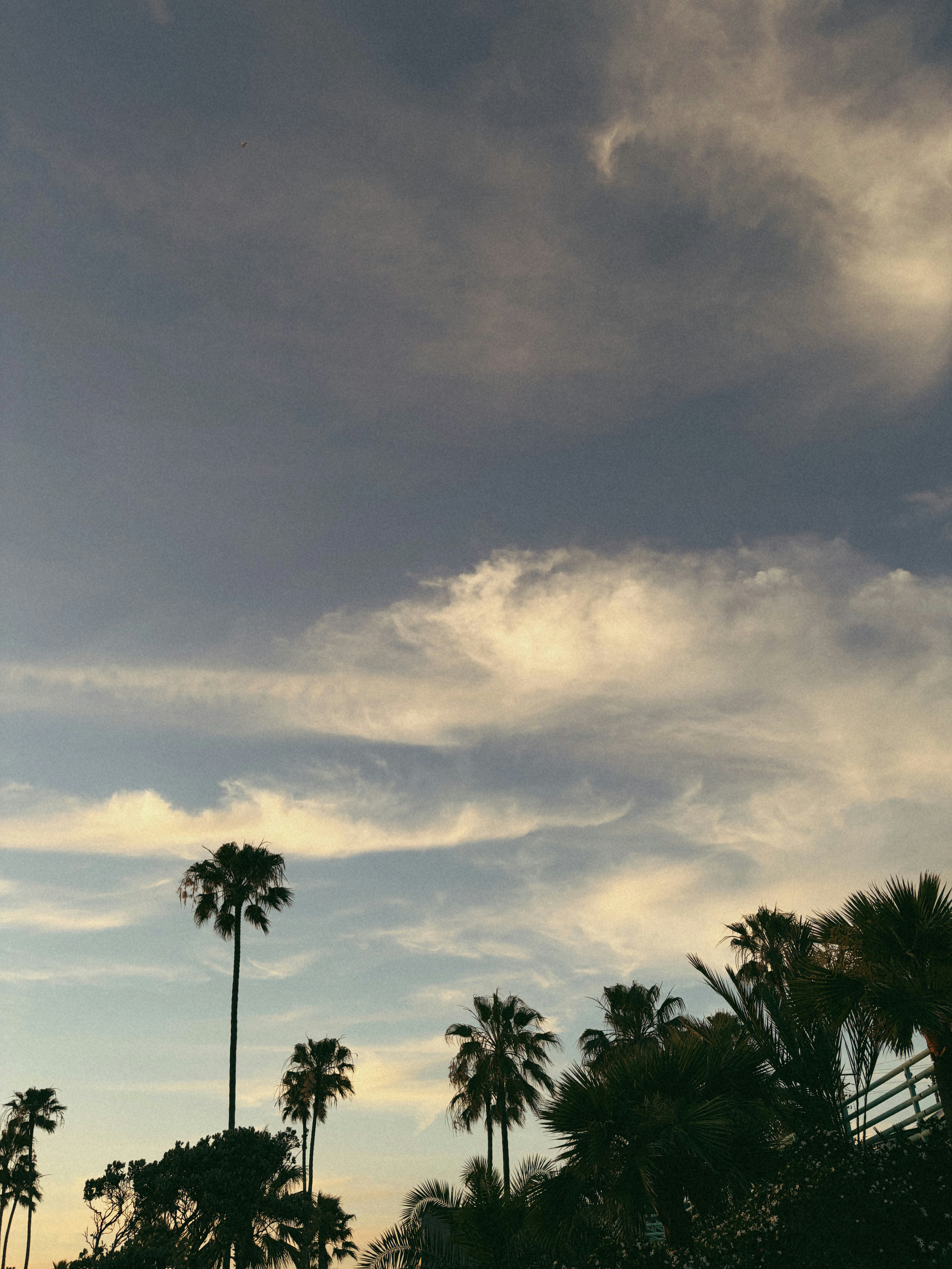 Photo by natalie_brennan