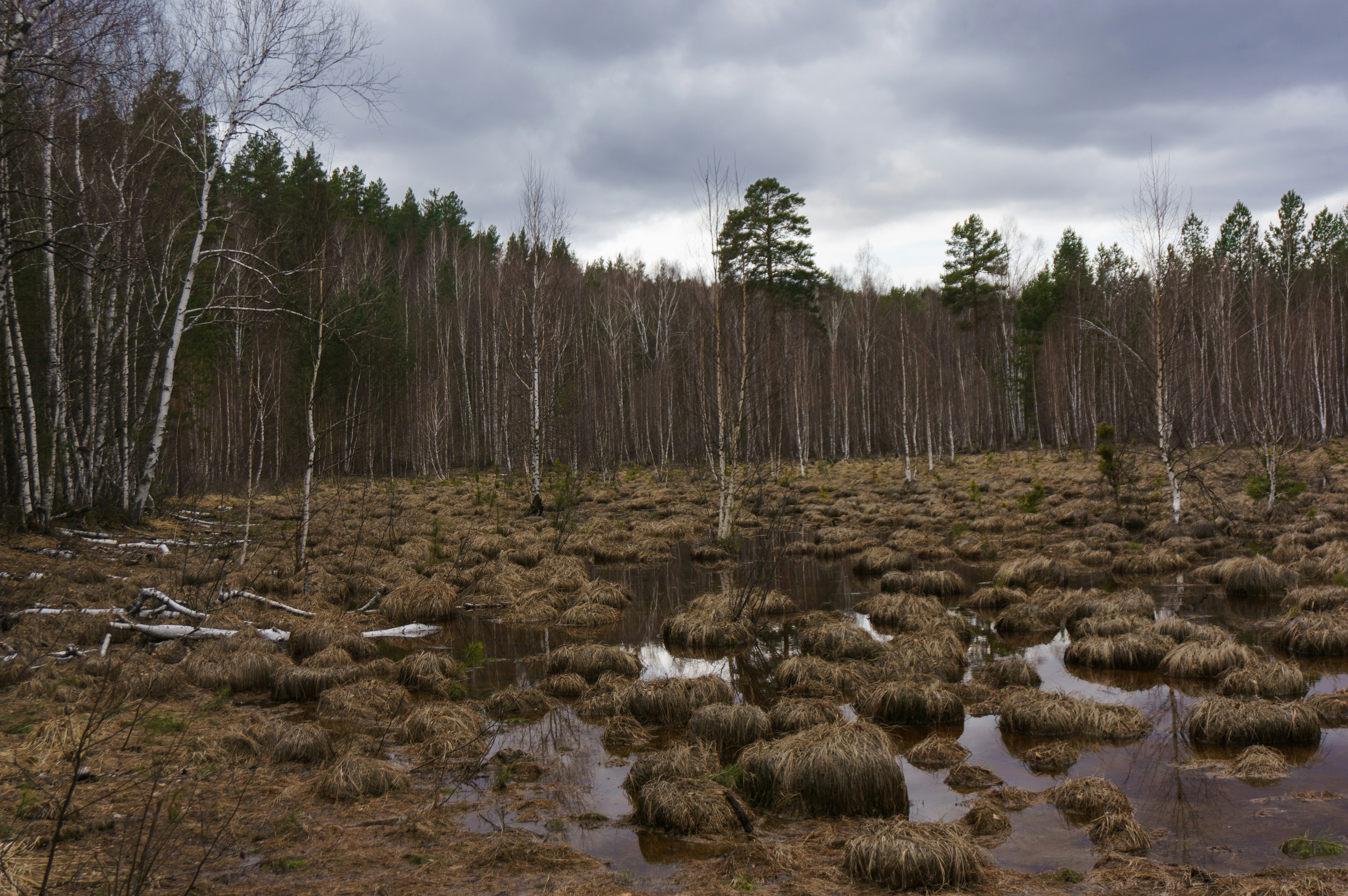 Photo by maksimzaviktorin