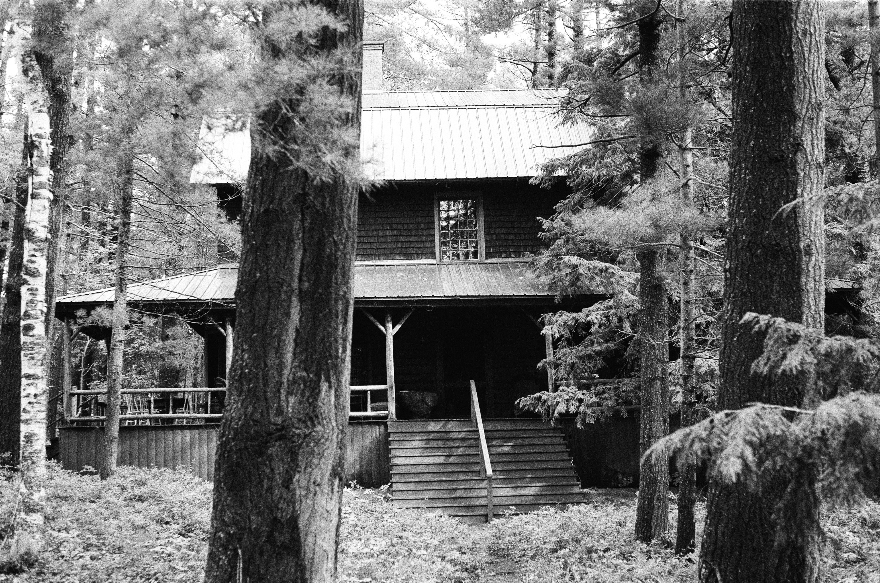A wooden cabin nestled amongst tall trees