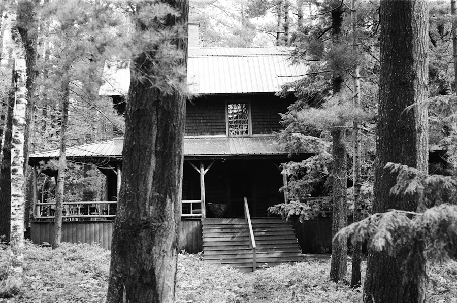 A small wooden cabin nestled amongst tall pine trees