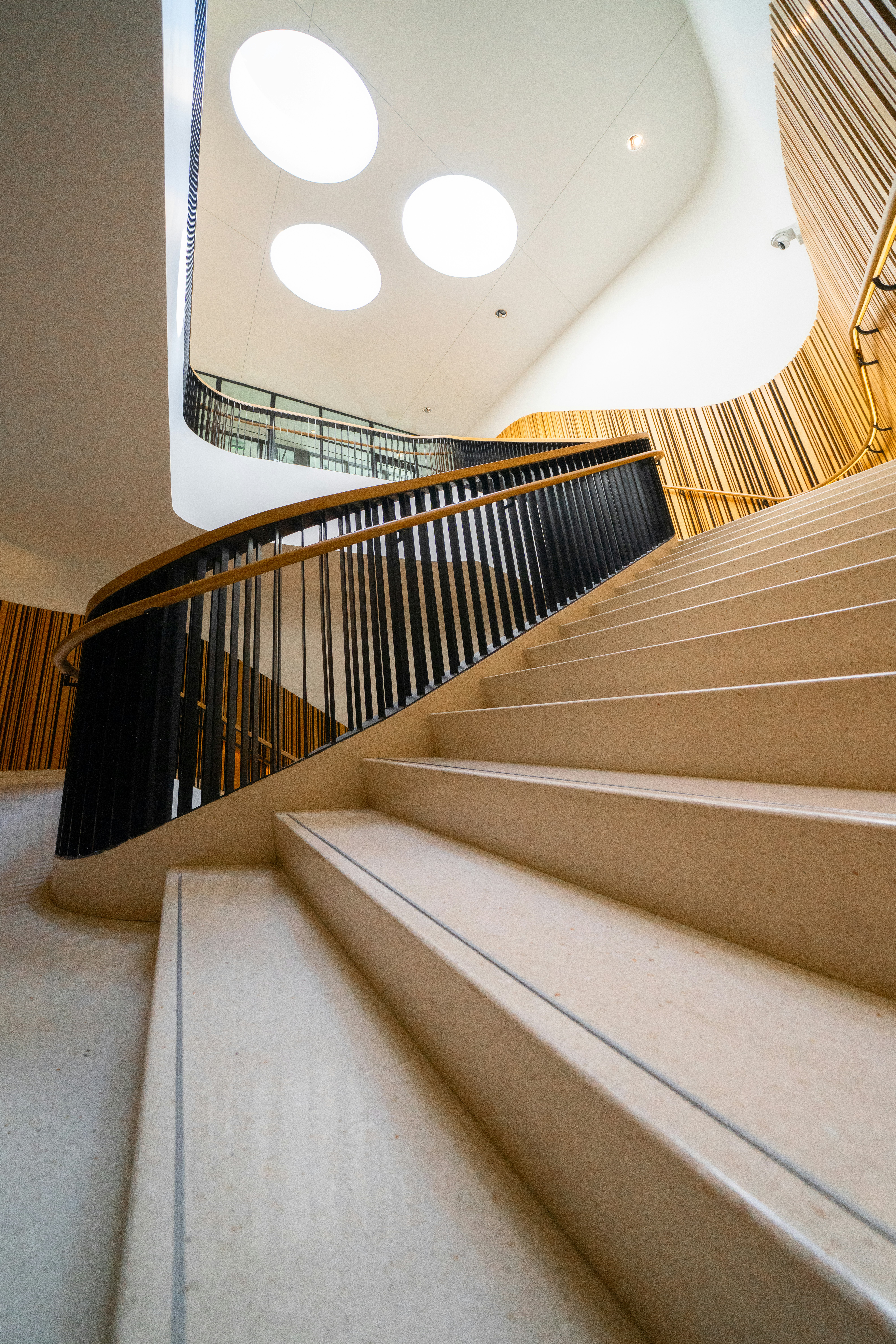 Modern staircase with wooden railing and circular skylights.