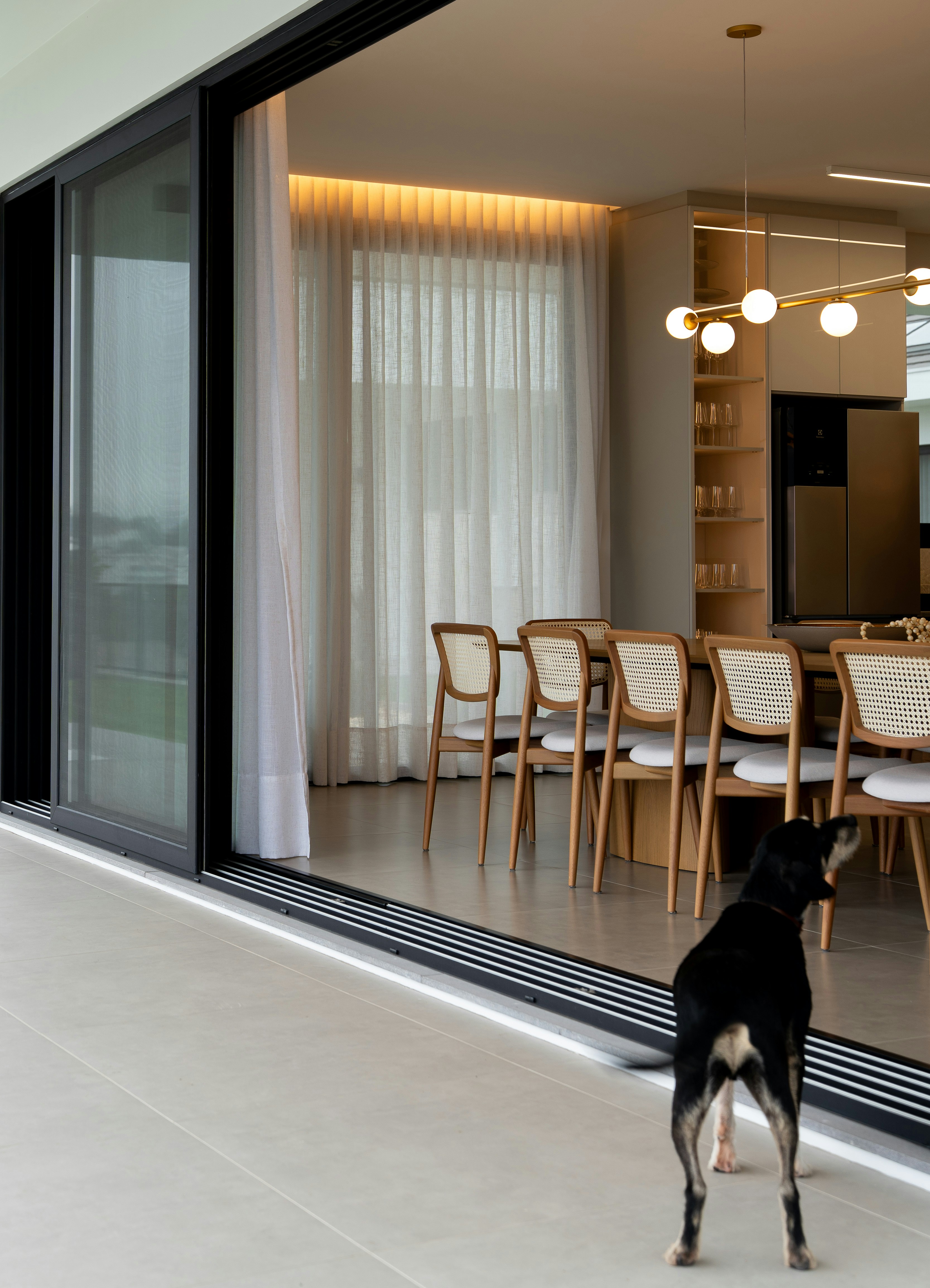 Ein schwarzer Hund blickt in ein modernes Esszimmer.