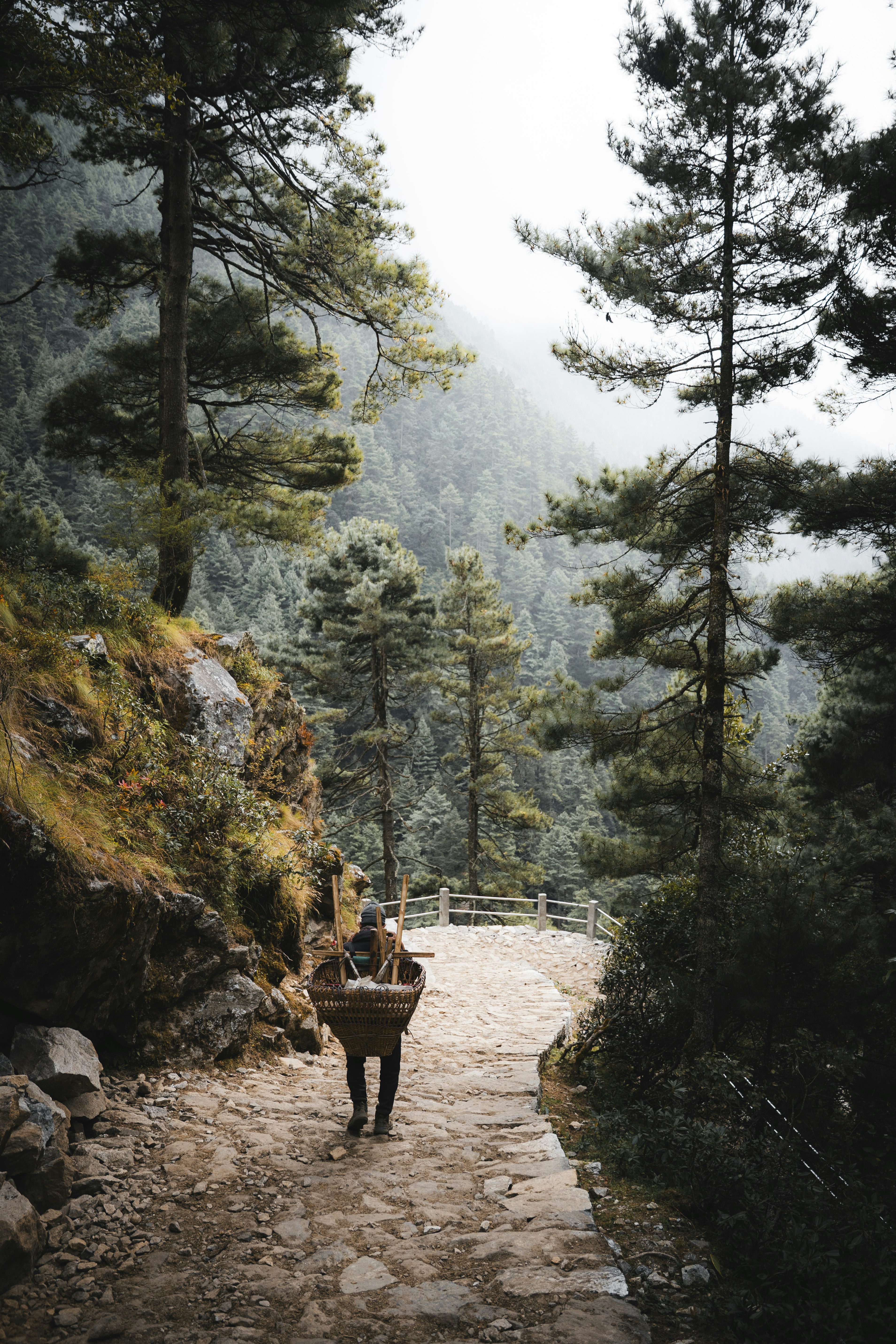 Una persona porta un cesto su un sentiero di montagna