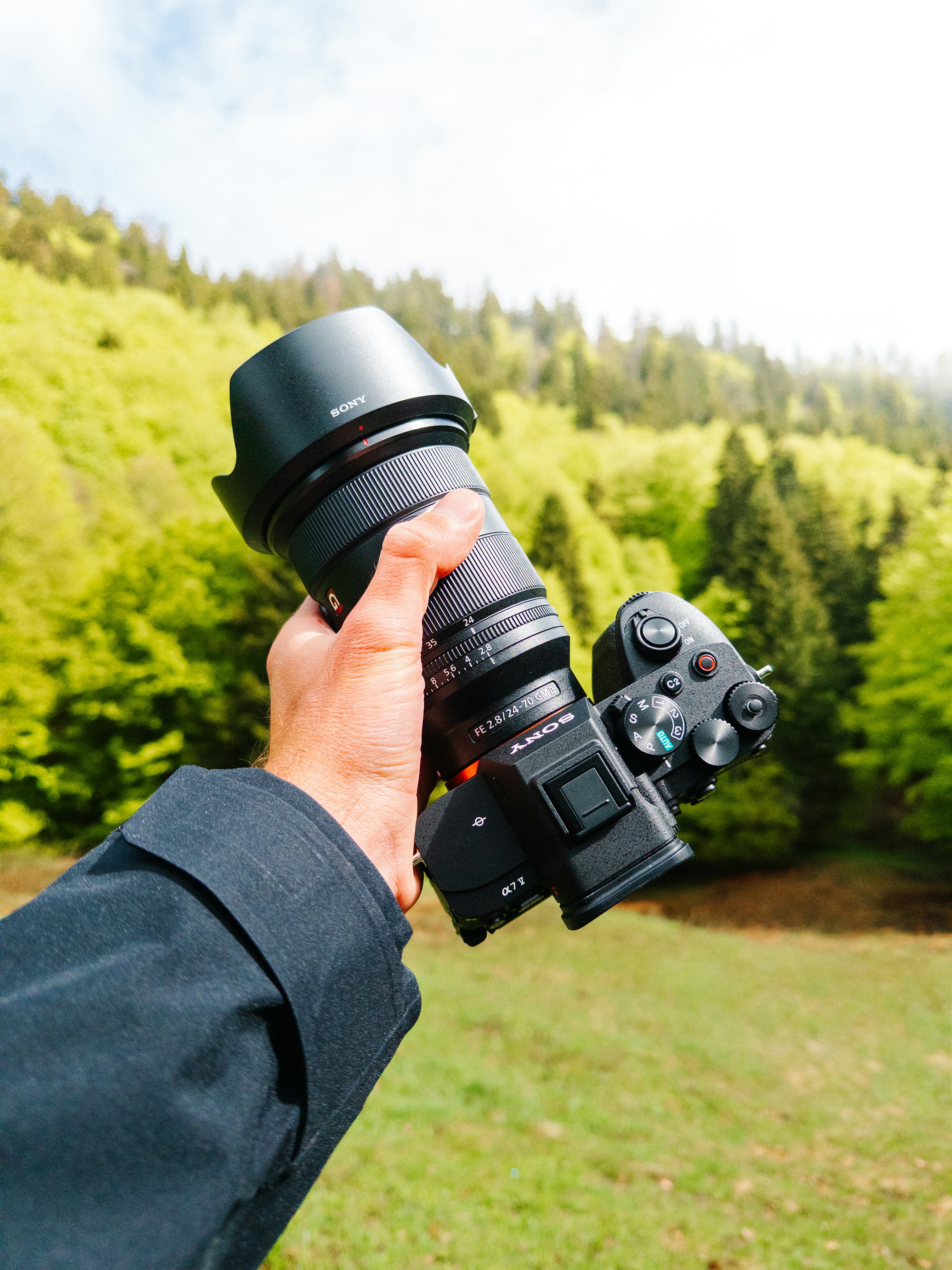 Hand holding a camera with a forest background