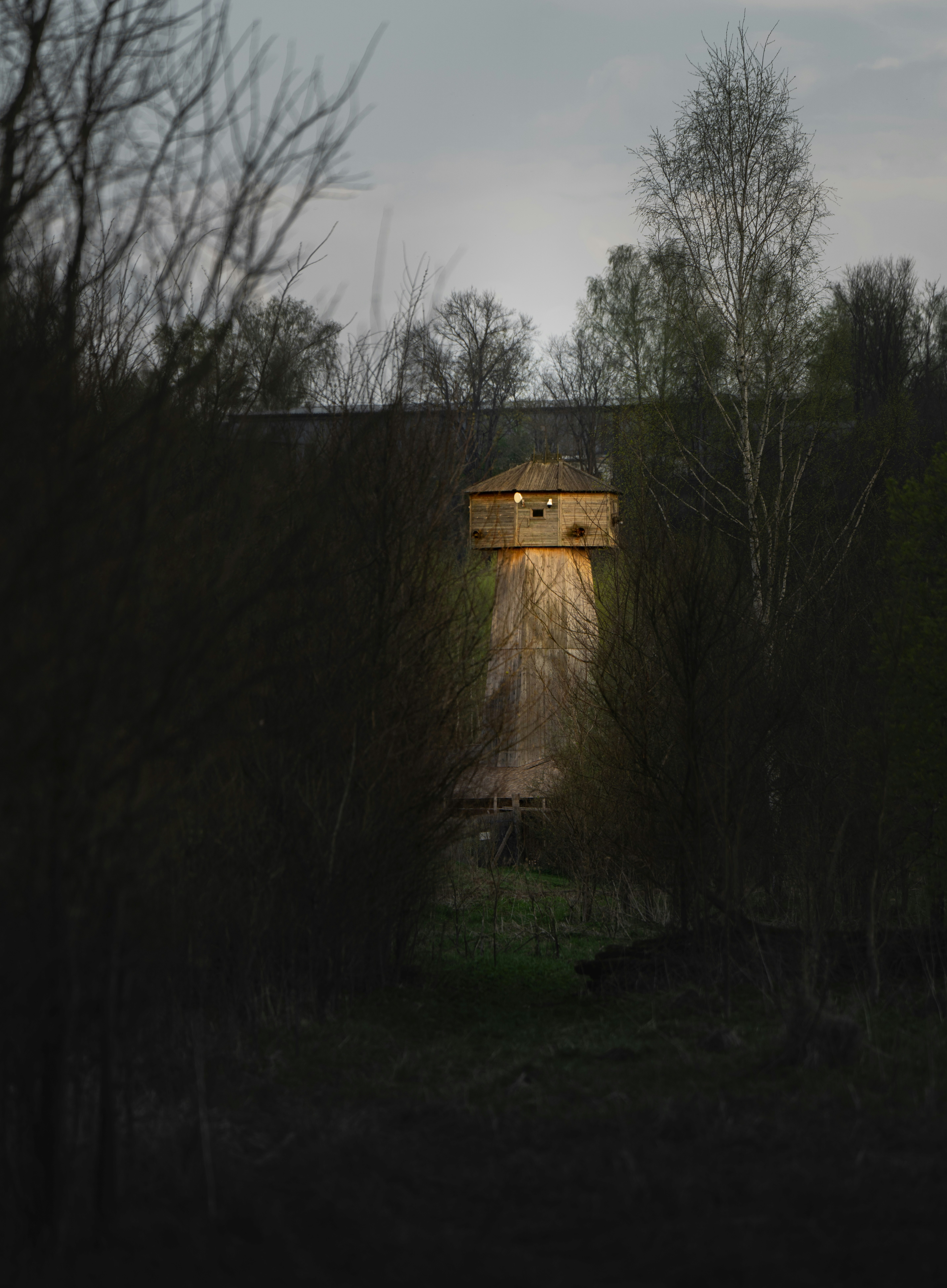 Photo by hellaren