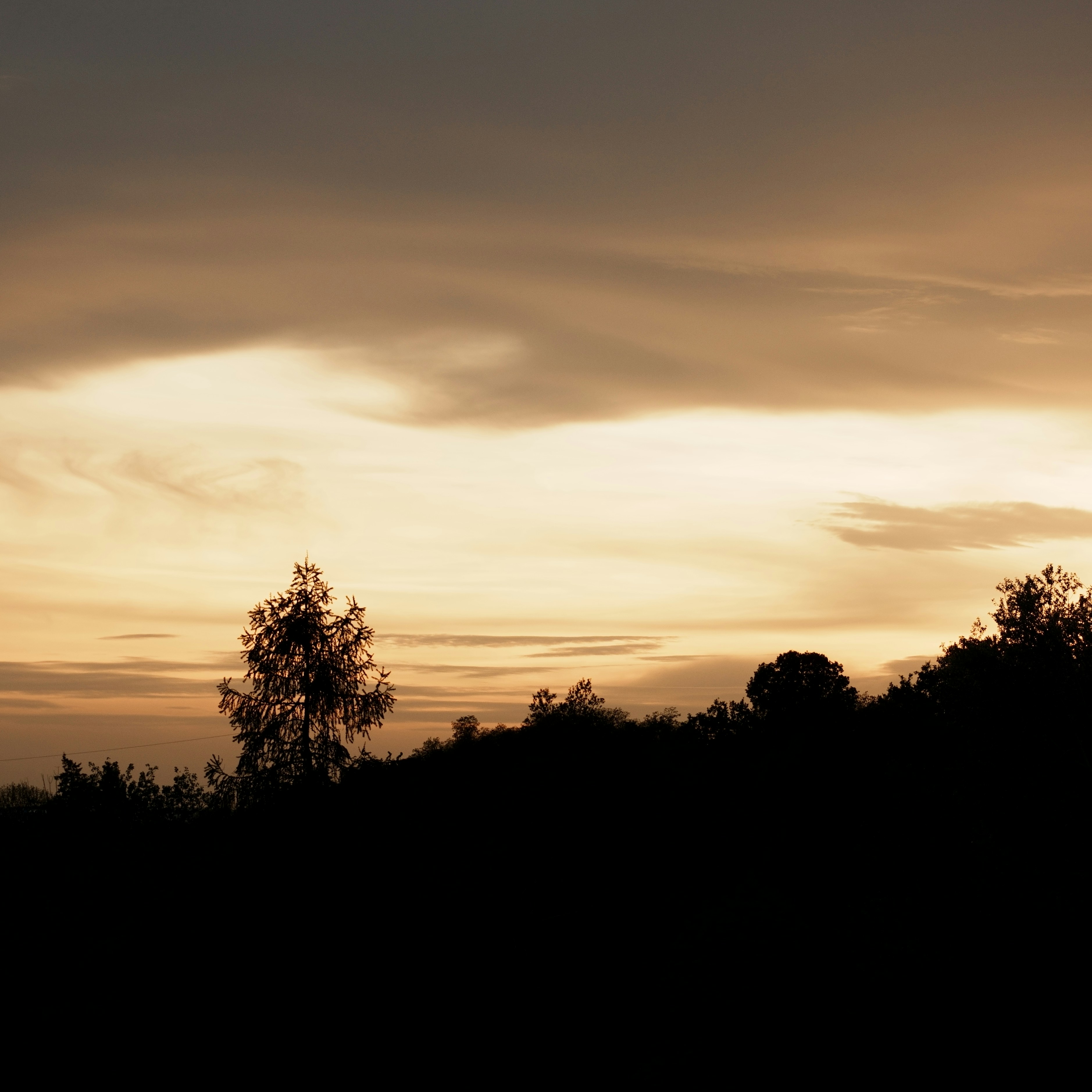 Photo by vladbahara