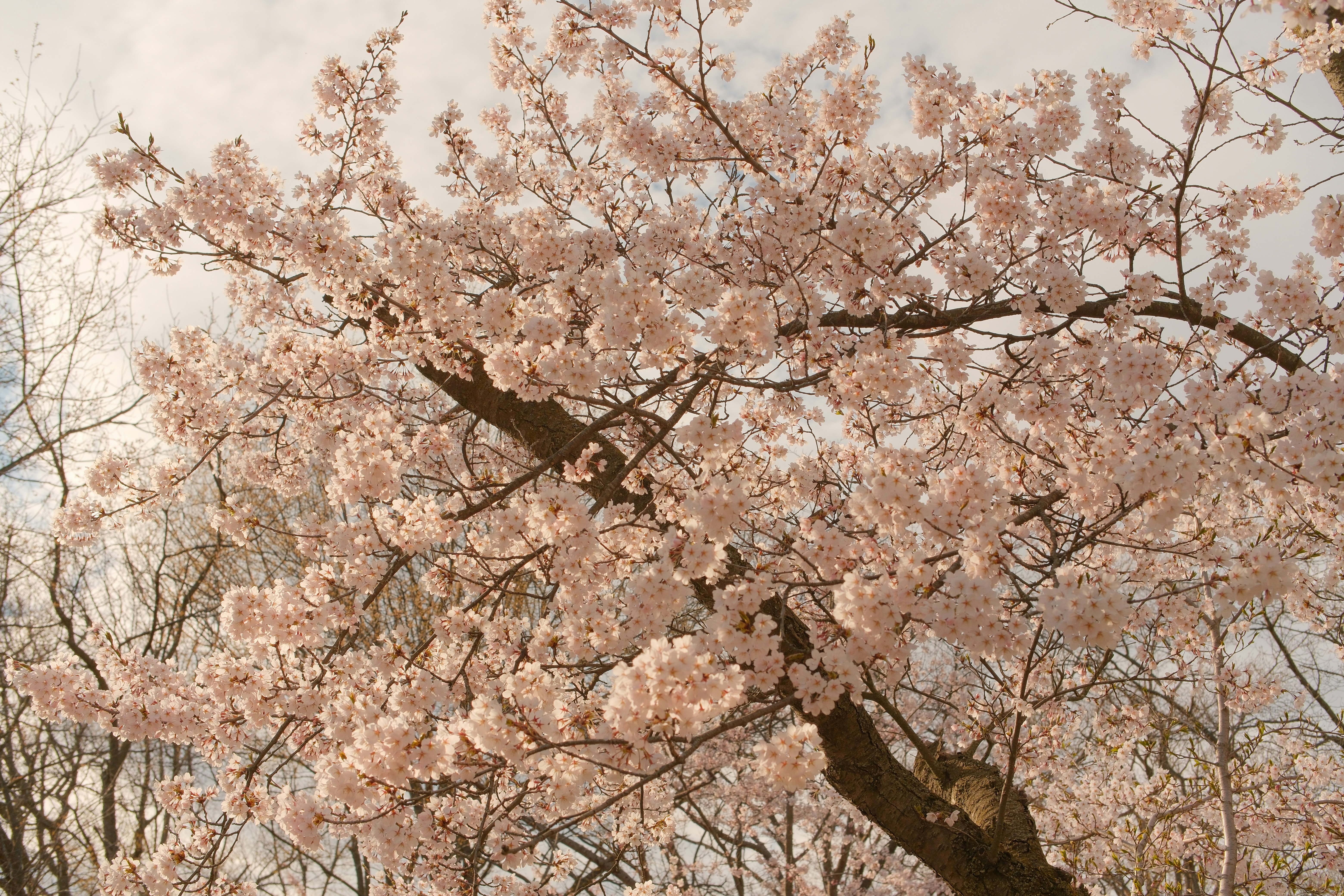 Photo by tristale