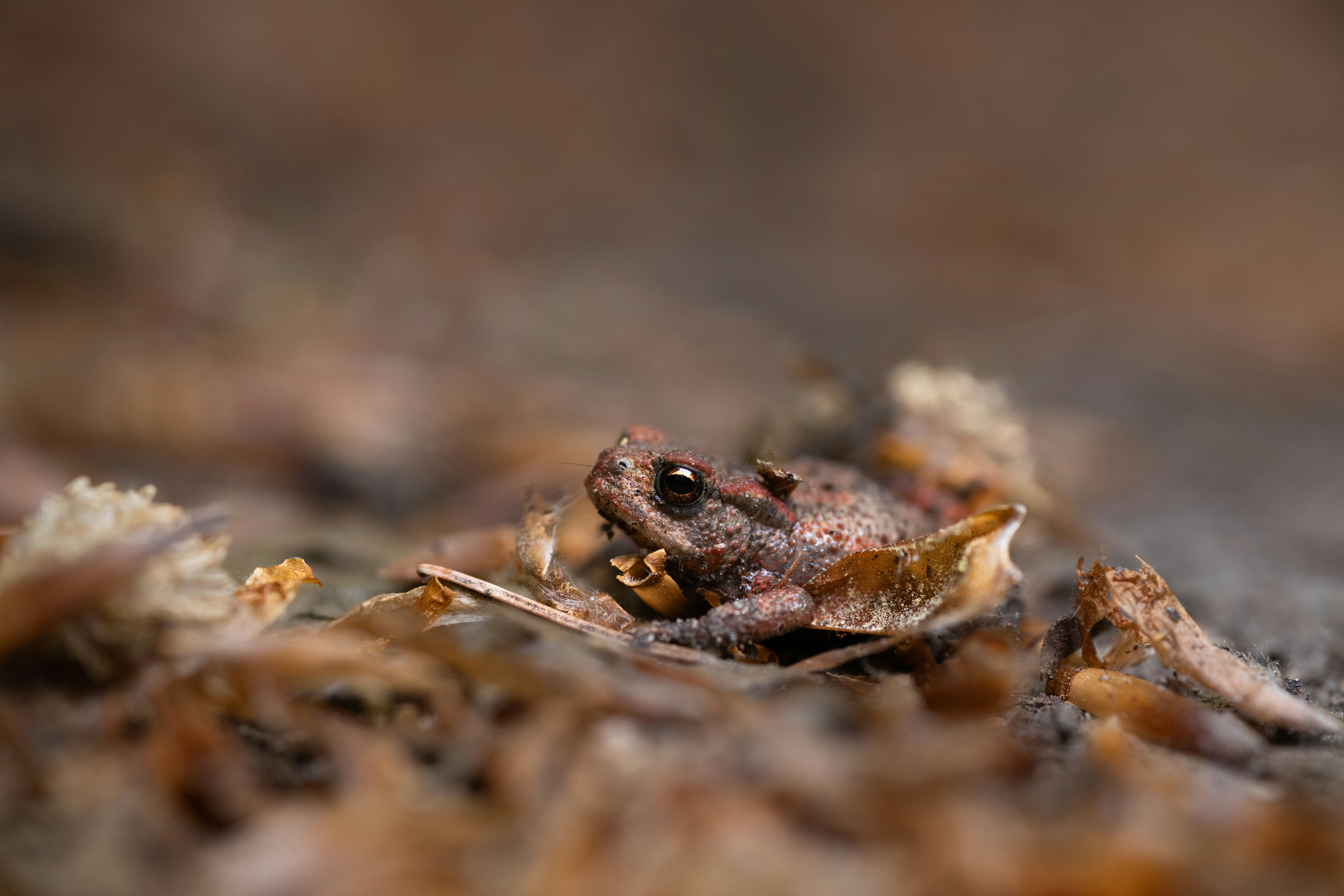 Photo by lilykonijn
