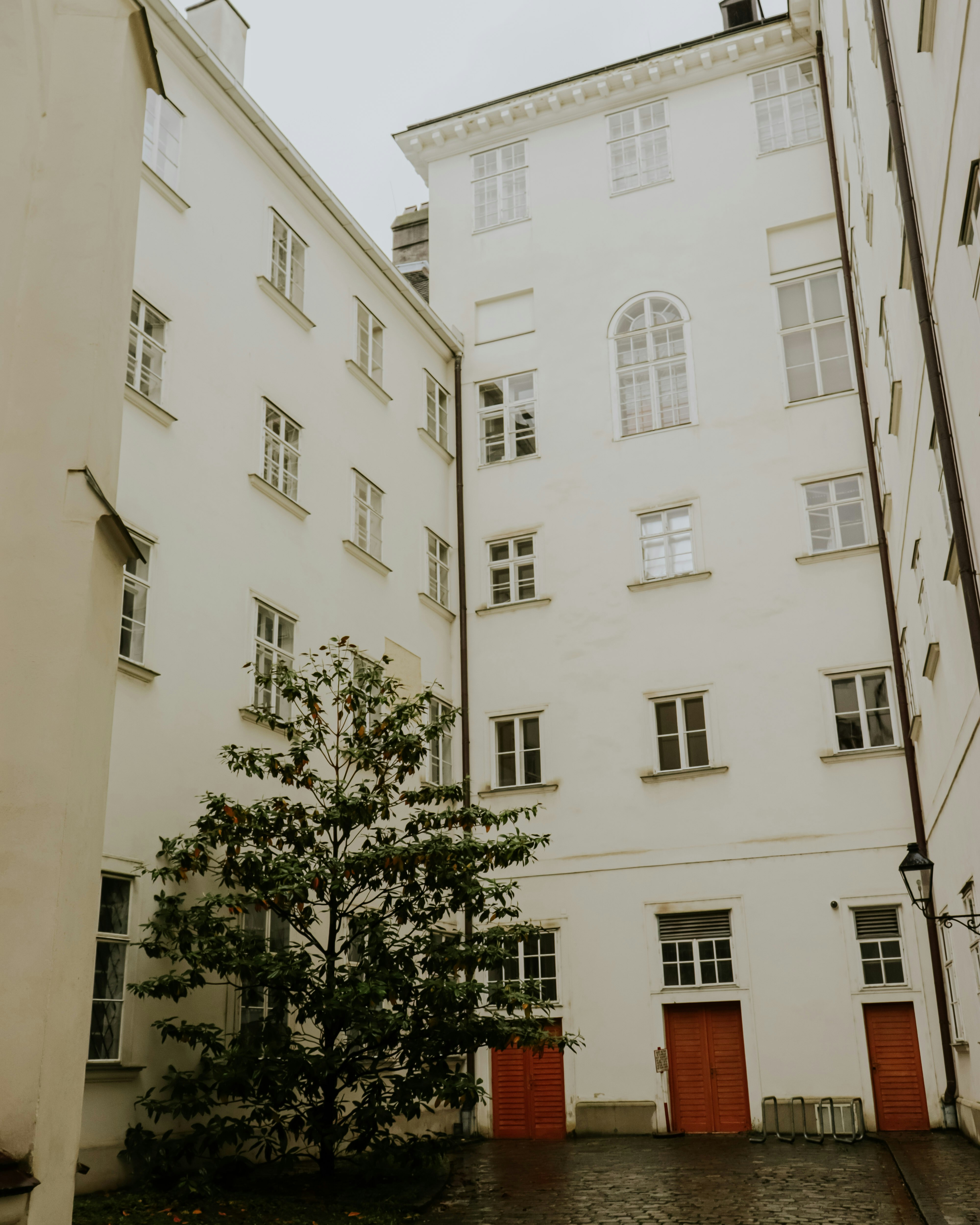 Weiße Gebäude mit roten Türen und einem Baum.