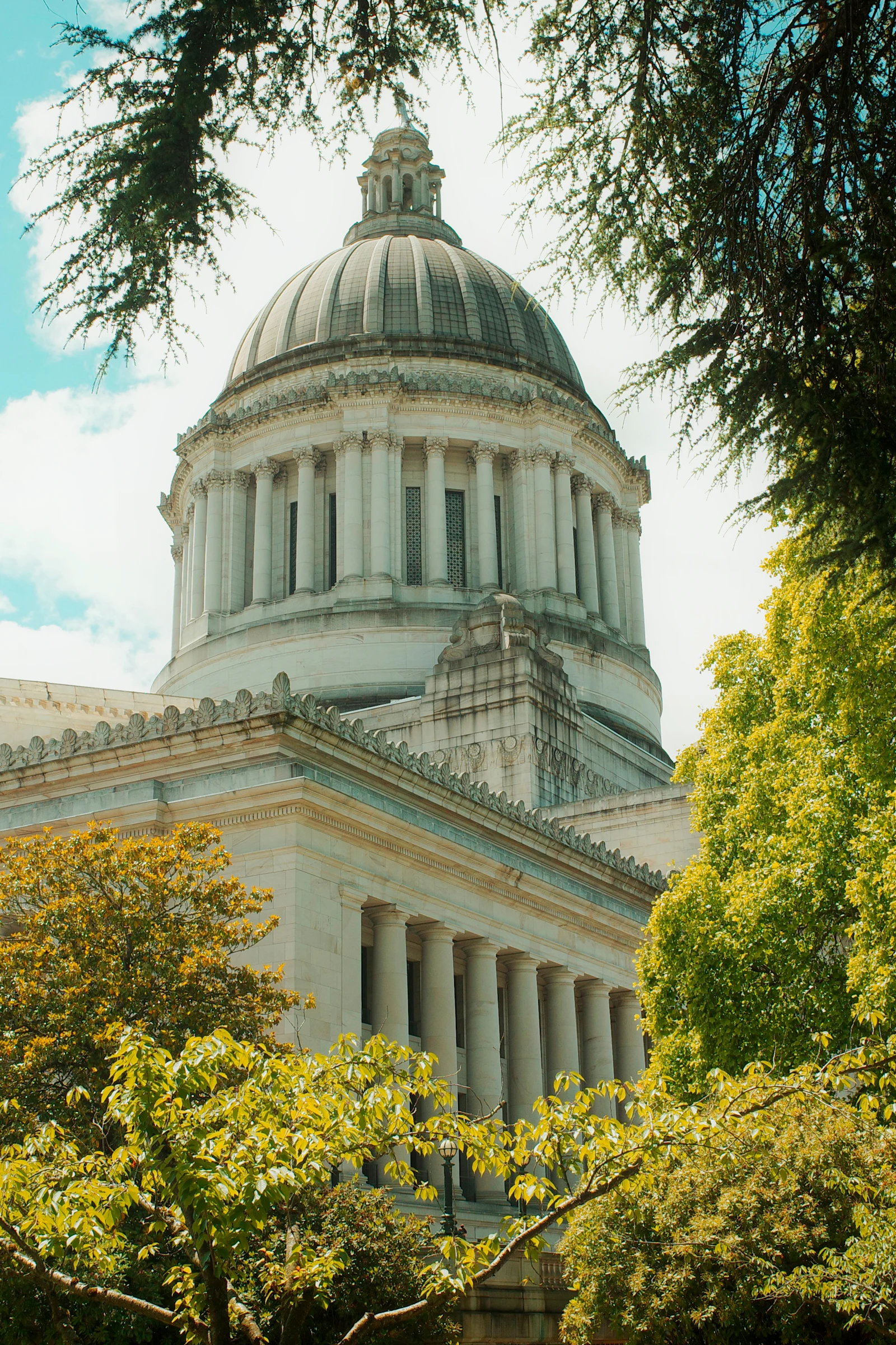 Grand domed building framed by green trees