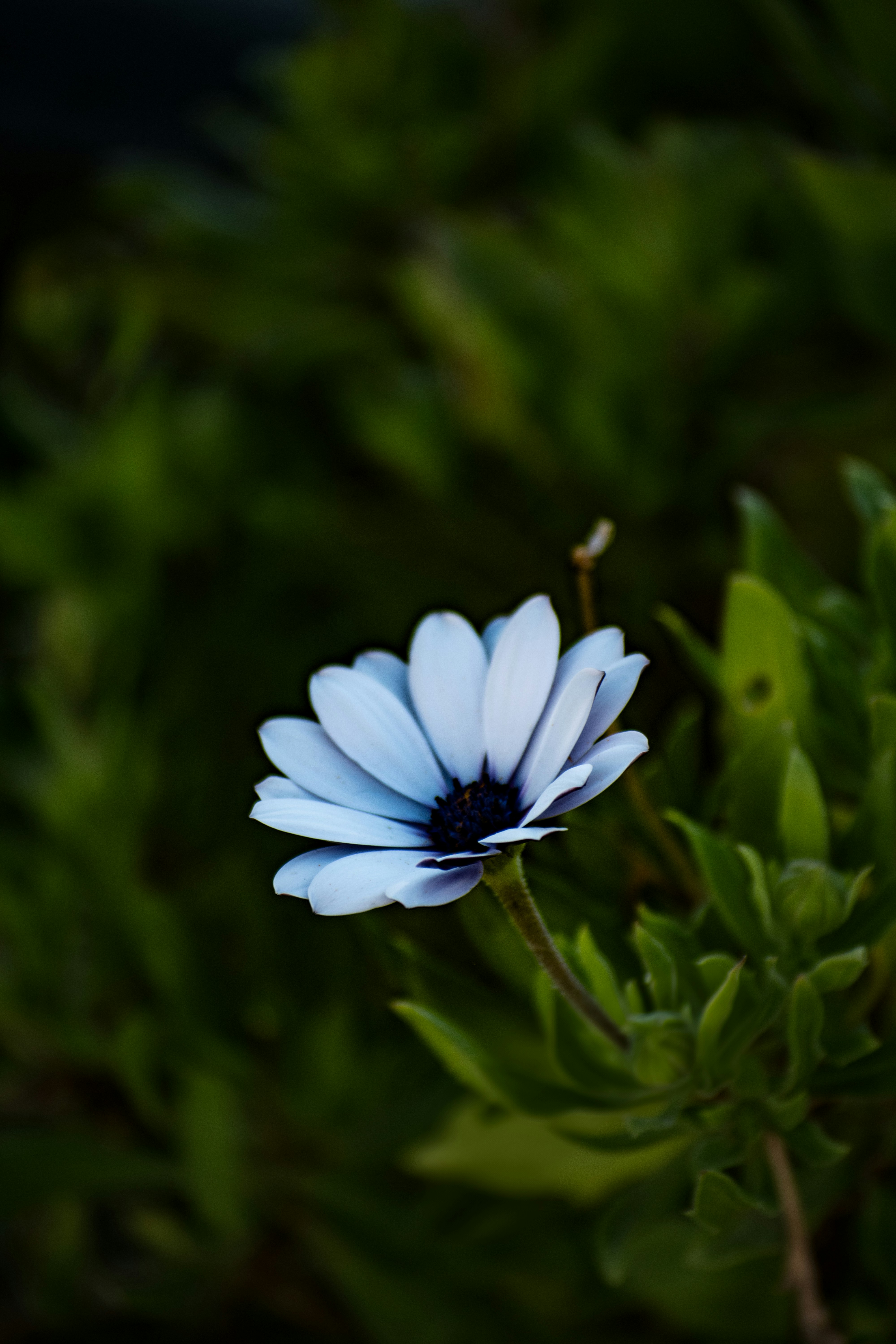Photo by johnxe_