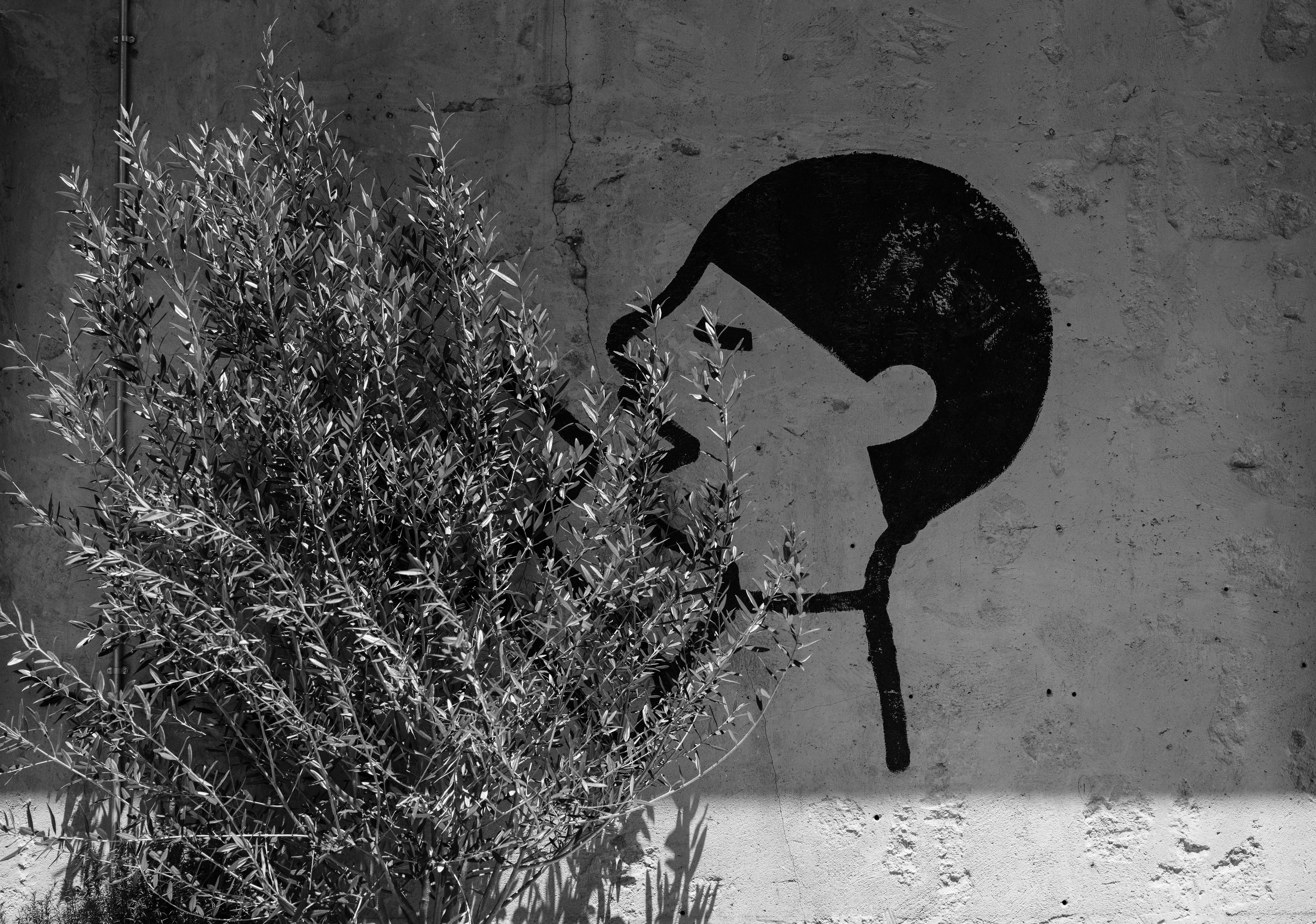 Graffiti of a person eating leaves from a plant