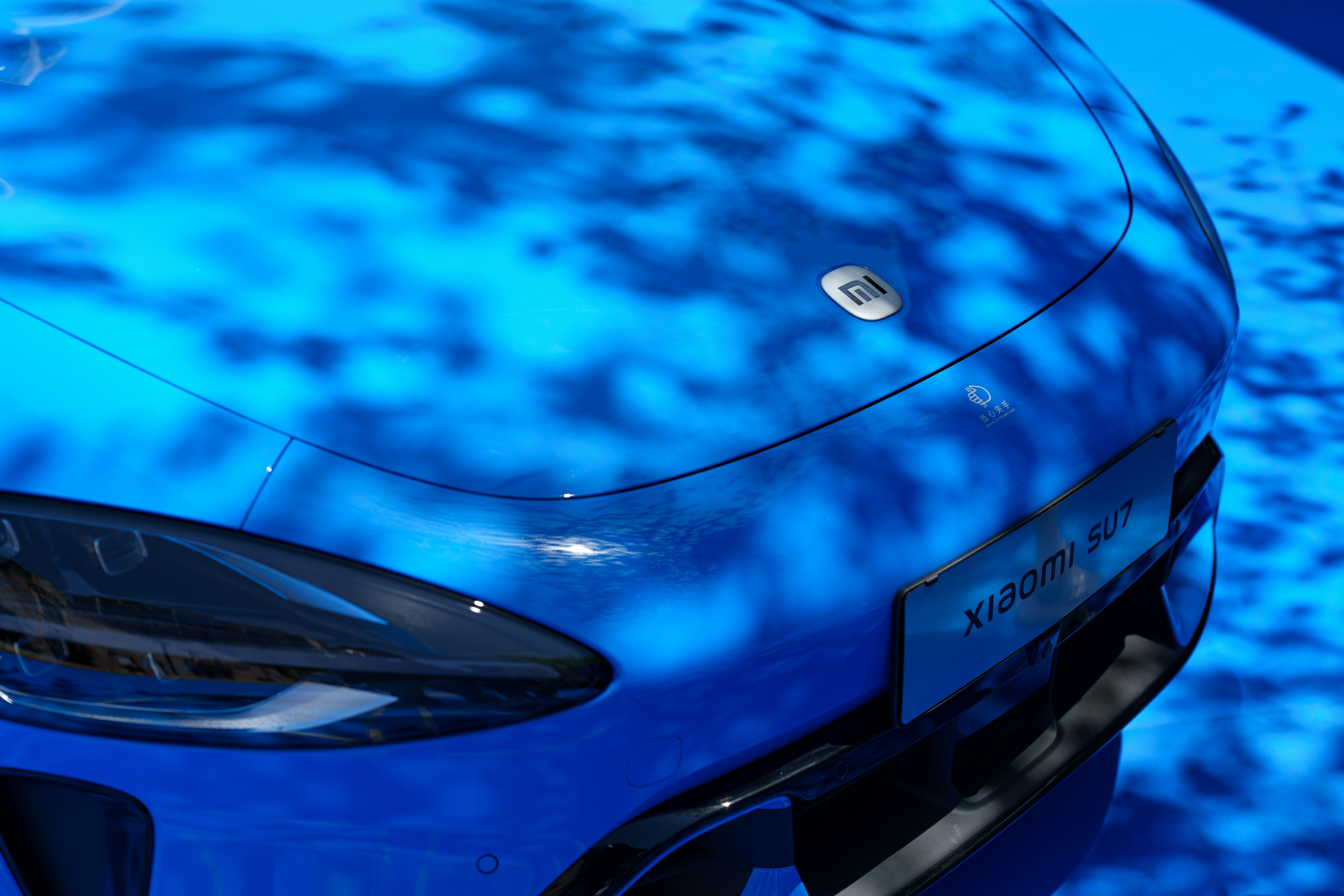 Capô azul com padrões de sombra de árvore