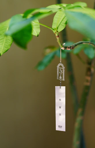A wind chime hangs from a leafy branch.