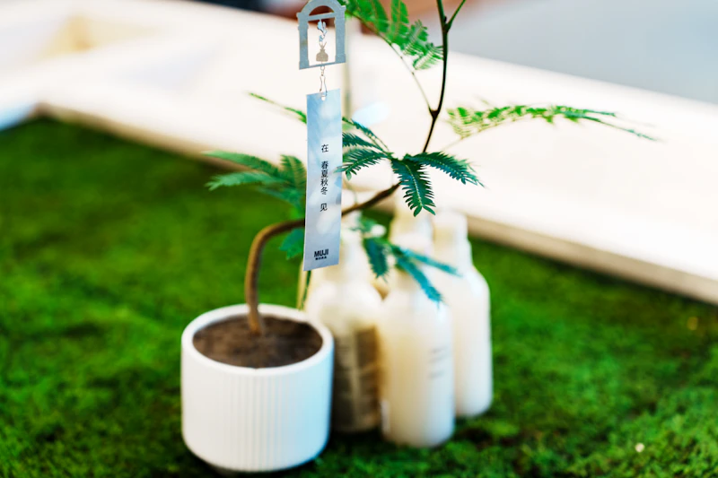 Potted plant beside nutrient bottles and a measuring label — plant nutrition, pH and EC basics course